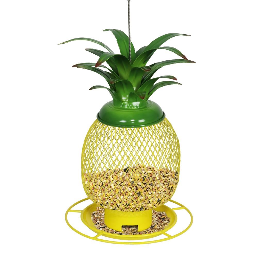 pineapple bird feeder