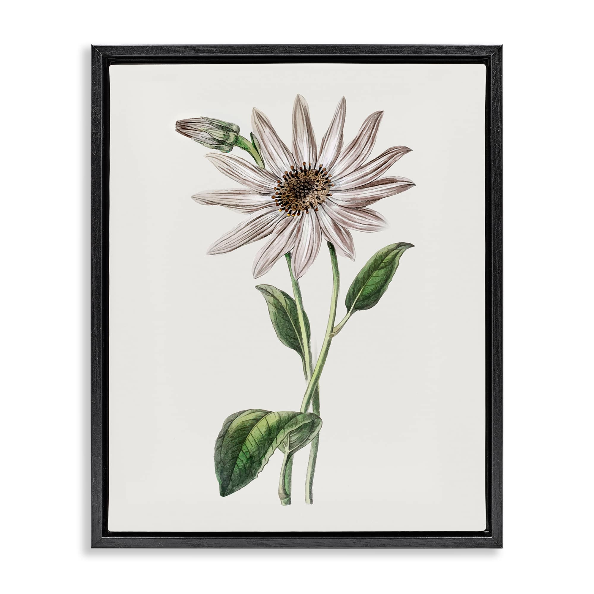 Stupell Industries BS-207-FFB-24X30 Vintage Mum Sprig Black Framed Floater Canvas Wall Art By CAD Designs 25 x 31