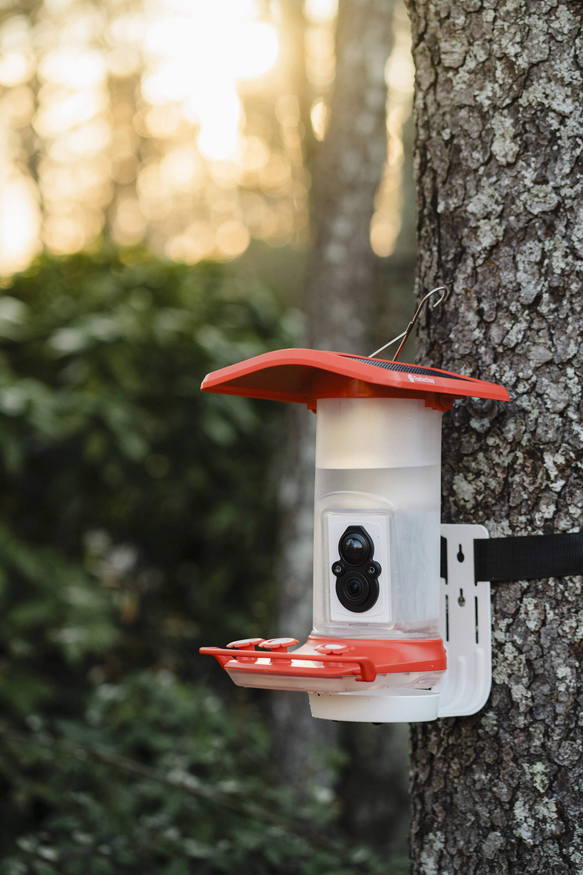 FeatherSnap FSHB001 Bird-Feeders - View #9