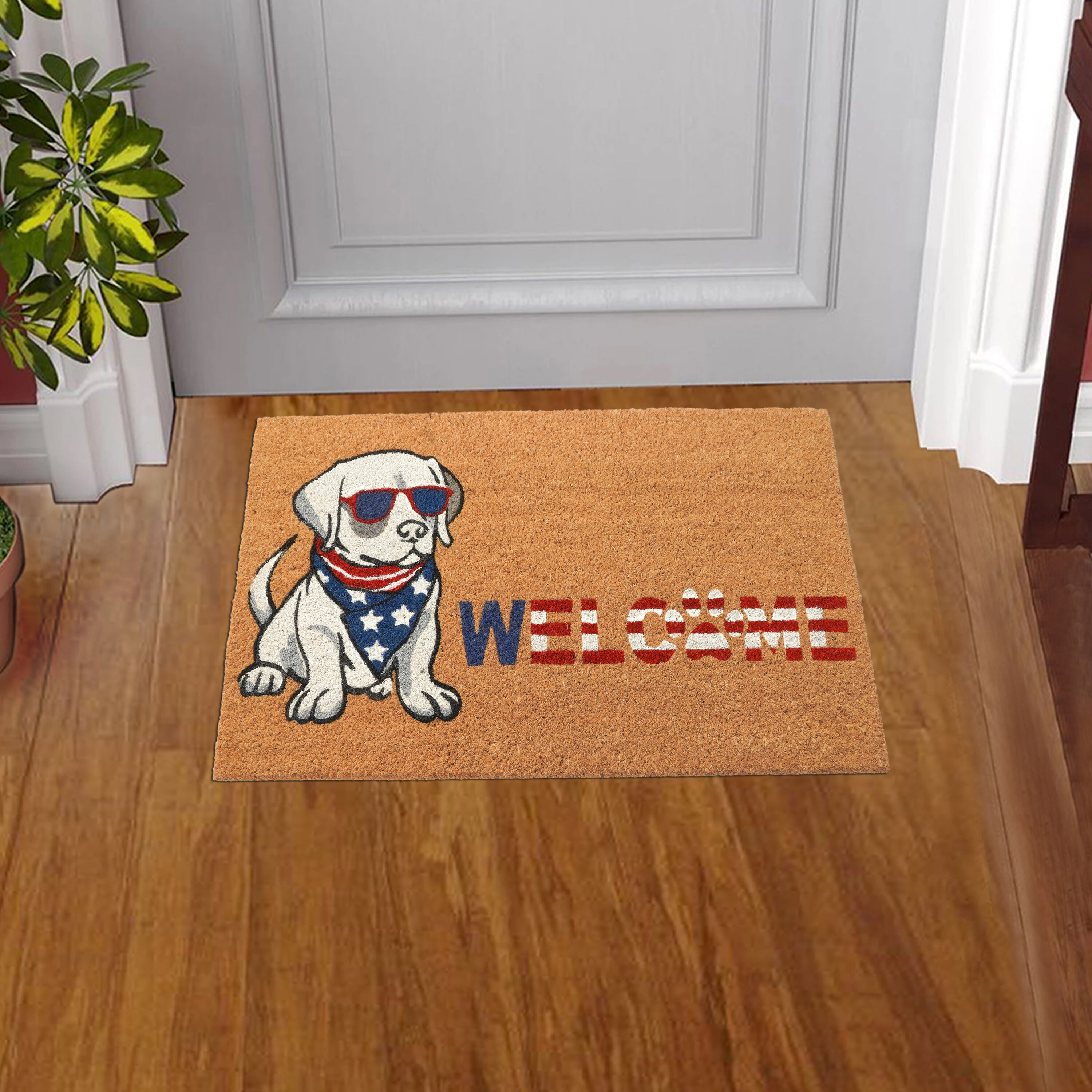 Style Selections WG-Q225-COOL DOG 18-in x 30-in Natural Non-Slip Grip Indoor or outdoor Summer Door Mat