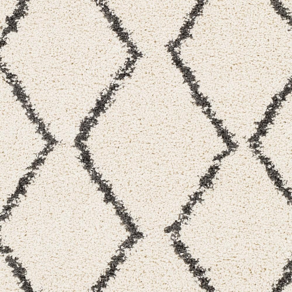 Beige and Black Braided Shag Rectangular Area Rug 5' x 7'