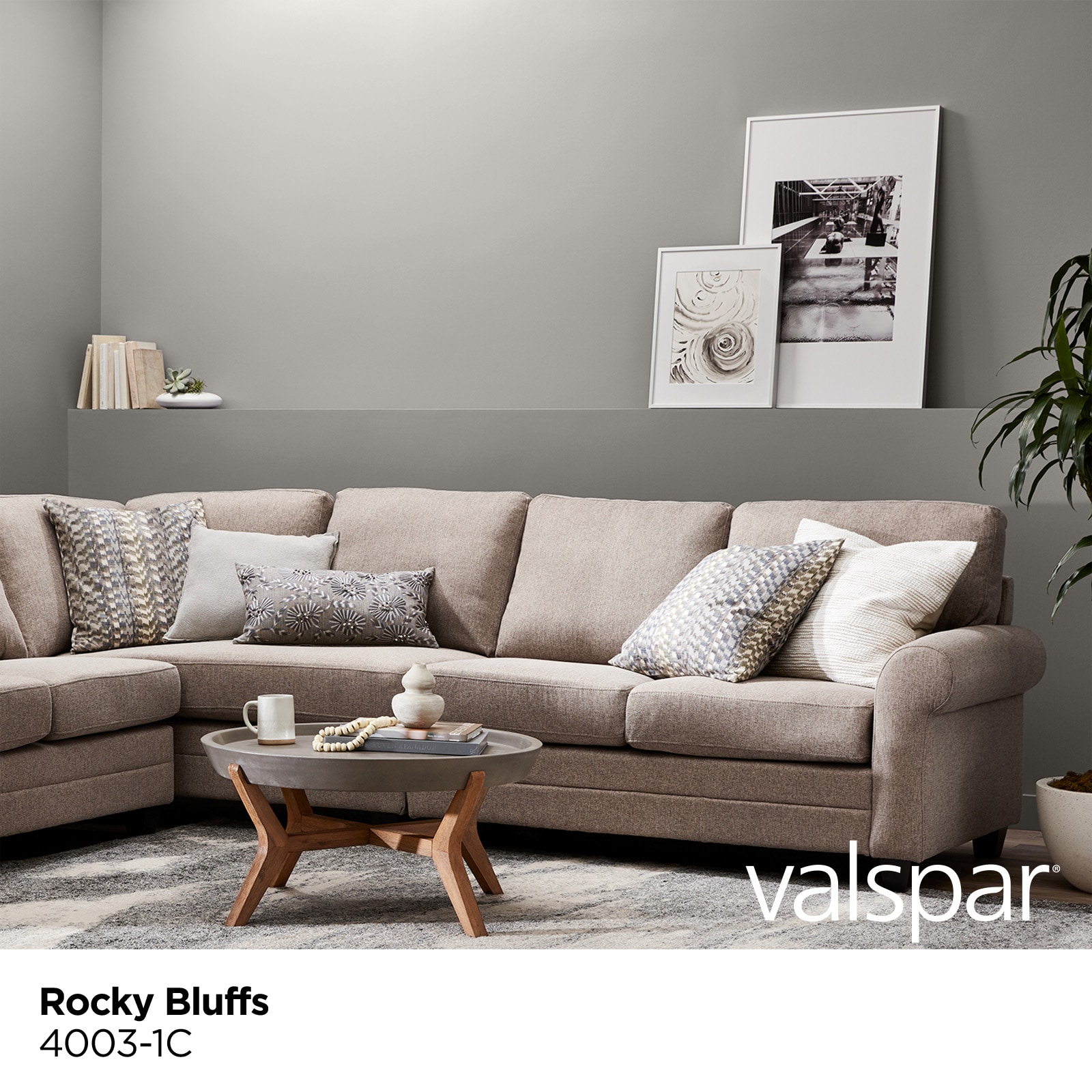 Valspar 4003-1C-2916577 Int-Ext-Paint - View #2
