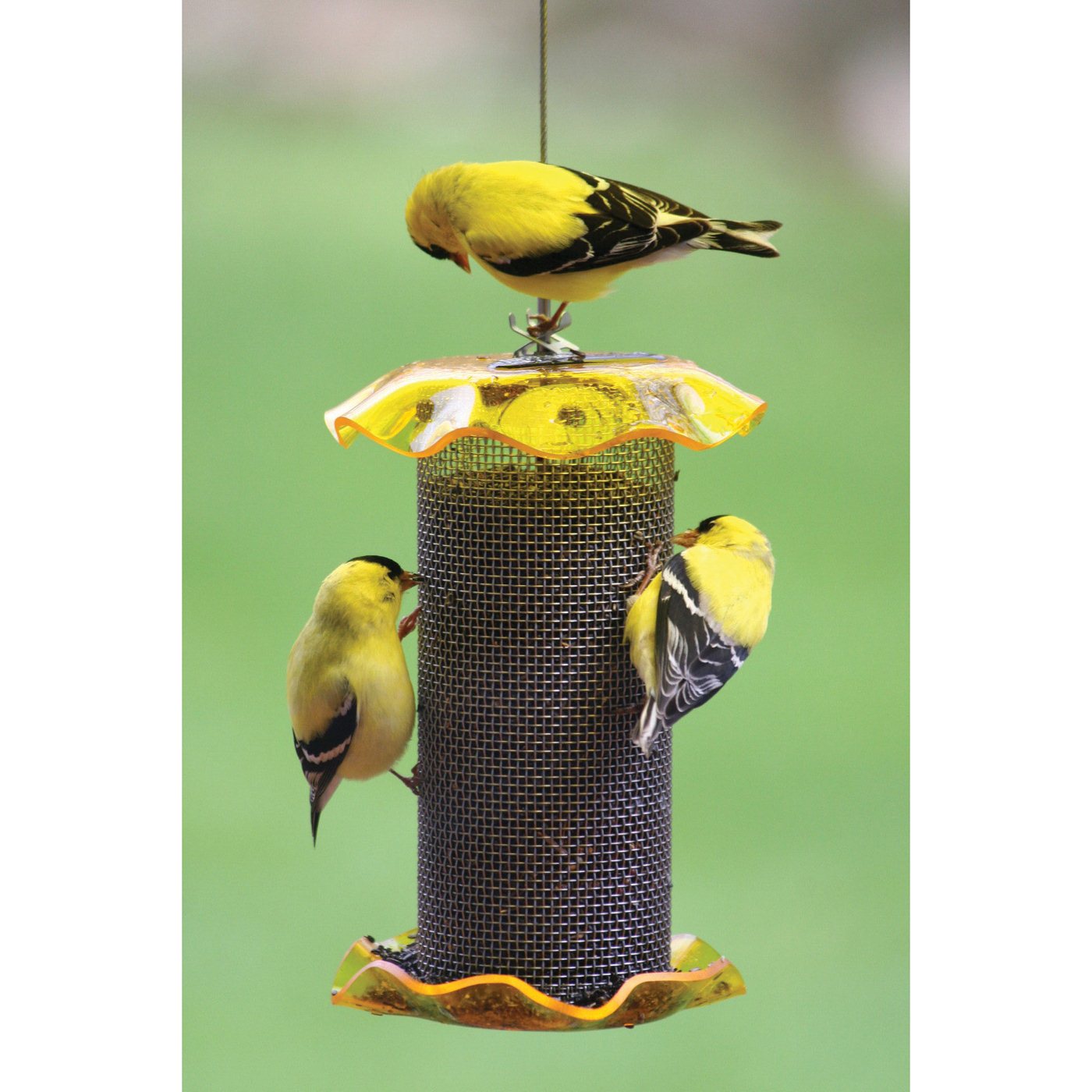 finch feeders lowes