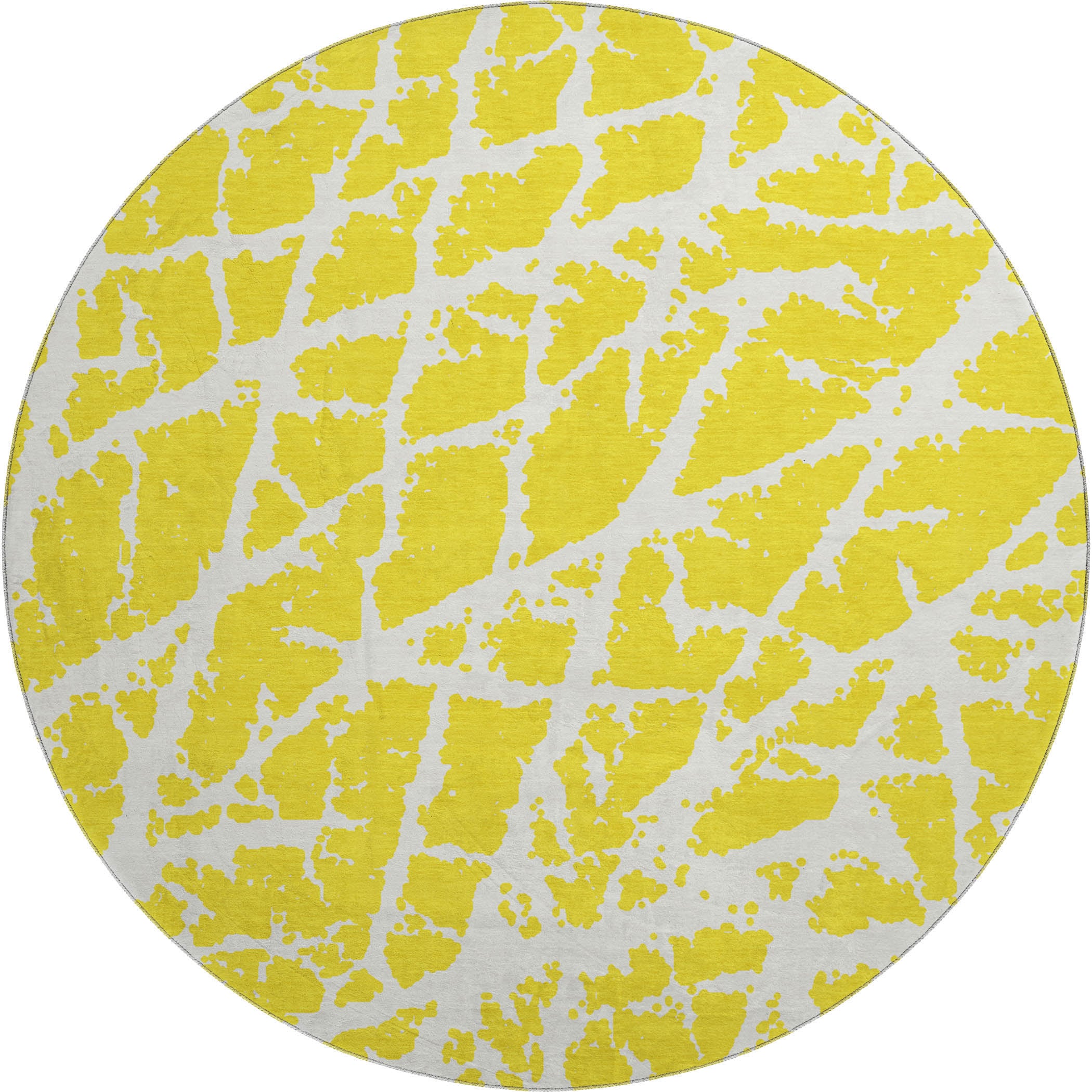 Addison Rugs AMF528IV8X10 rugs - View #2