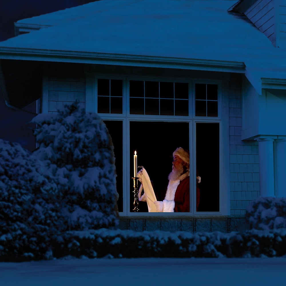 HoliScapes VIRTUAL-SANTA-DVD dvd - View #2