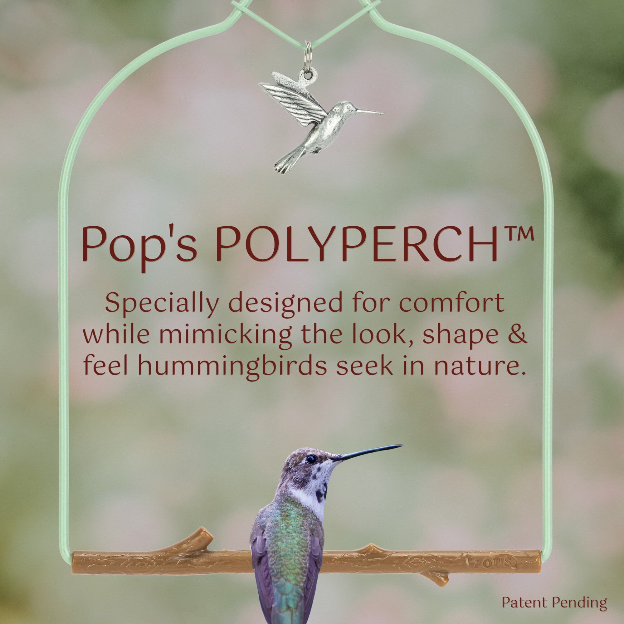 Pop's Birding CHVC-PBBR Bird-Feeder-Accessories - View #5