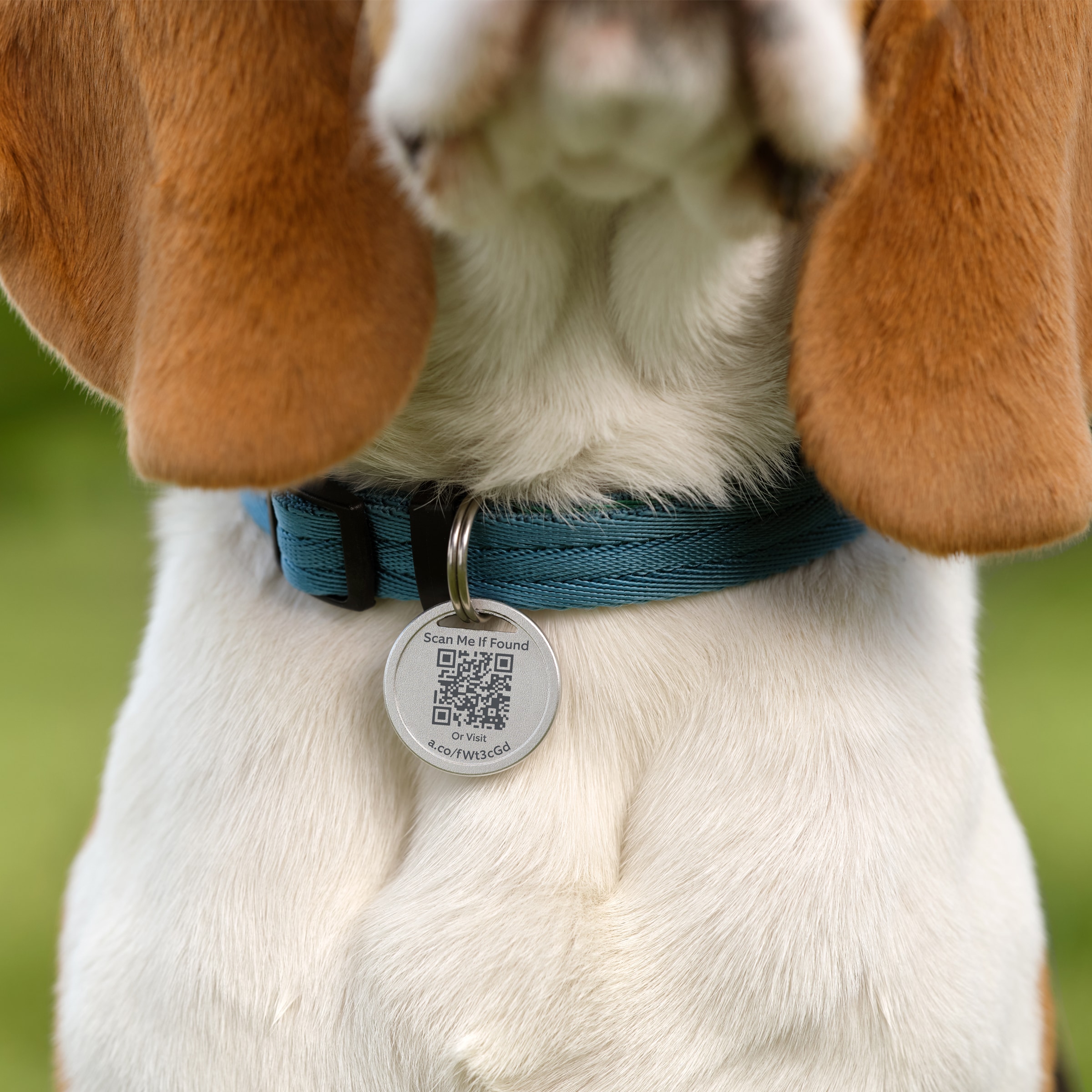  Introducing Ring Pet Tag, Easy-to-use tag with QR code, Real-time scan alerts, Shareable Pet Profile