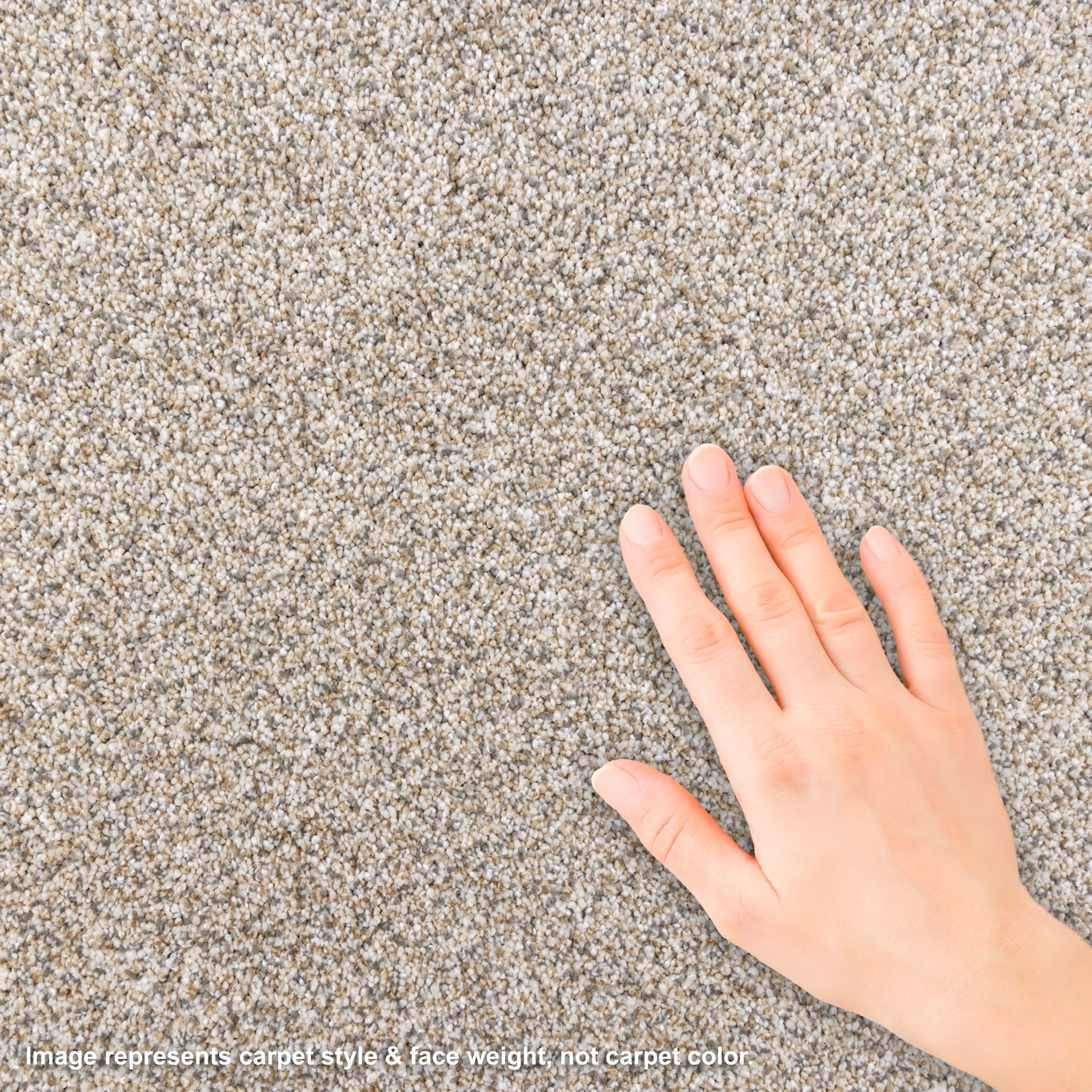 STAINMASTER L3009-705-1200-AB Carpet-Panel - View #4