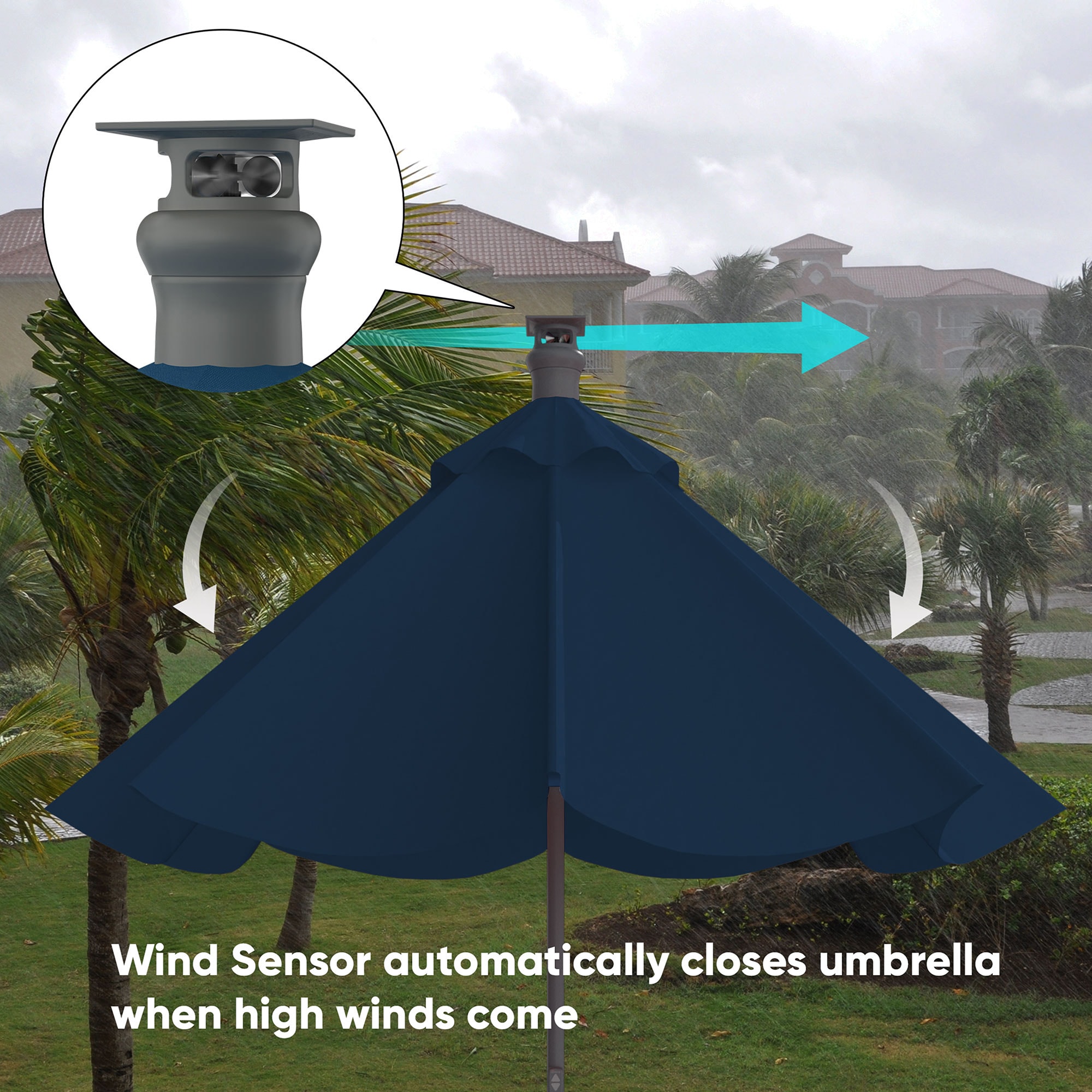 Above AB-H9-N Umbrellas-2 - View #5