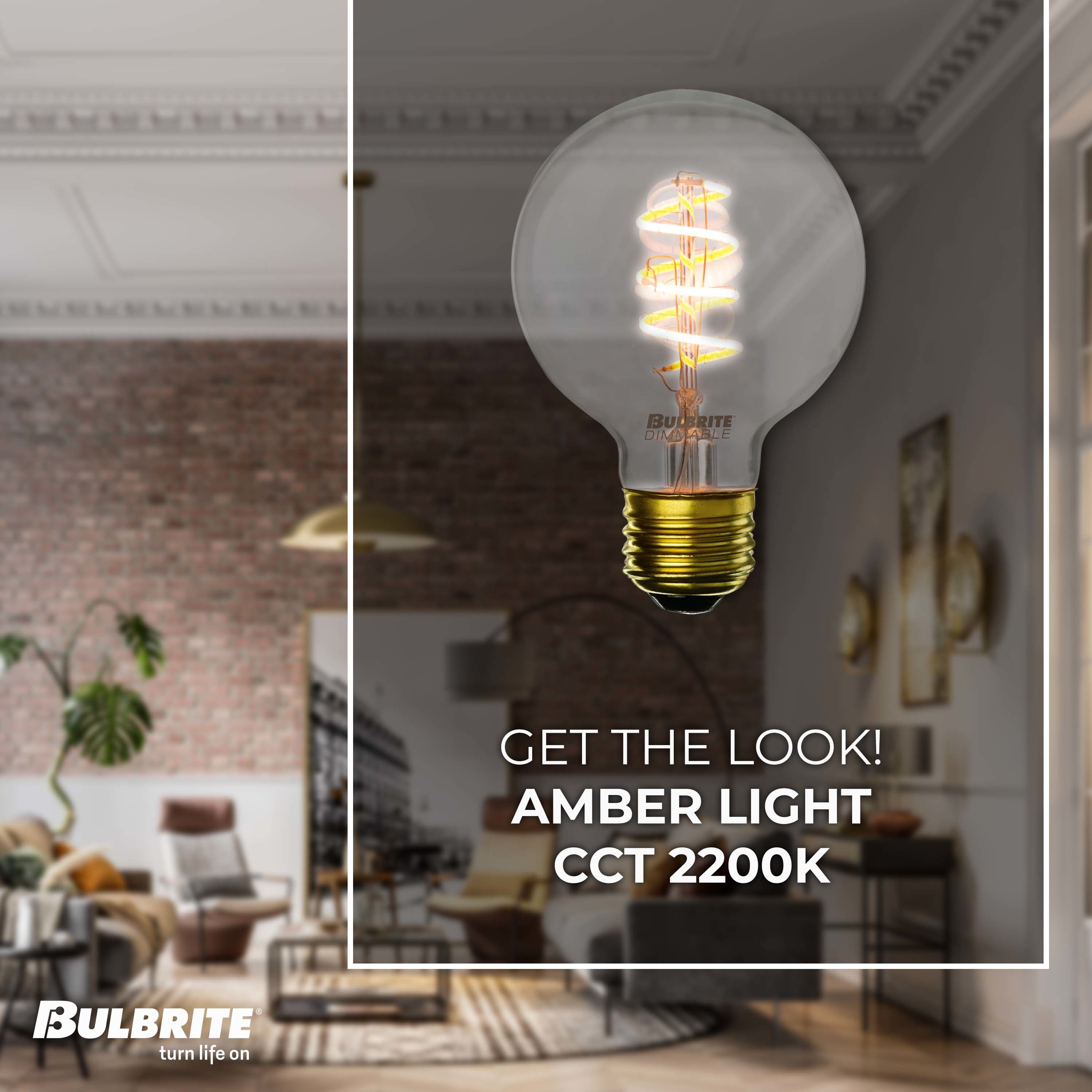 Bulbrite 861403 Dec-Led-Light-Bulbs - View #2