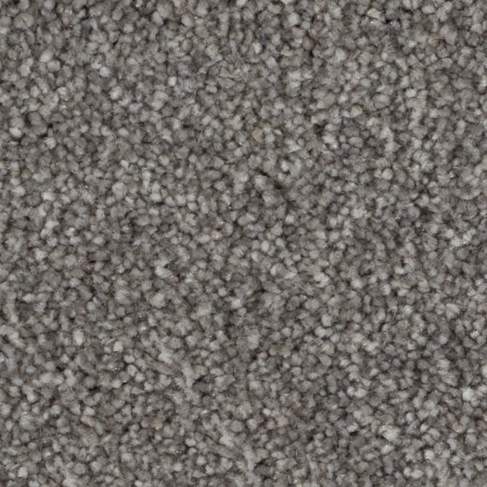 STAINMASTER LU481-W3201-1200-AB Plenitude Behind the Scene Gray 44-oz sq yard Solution-dyed polyester Plush Indoor Carpet