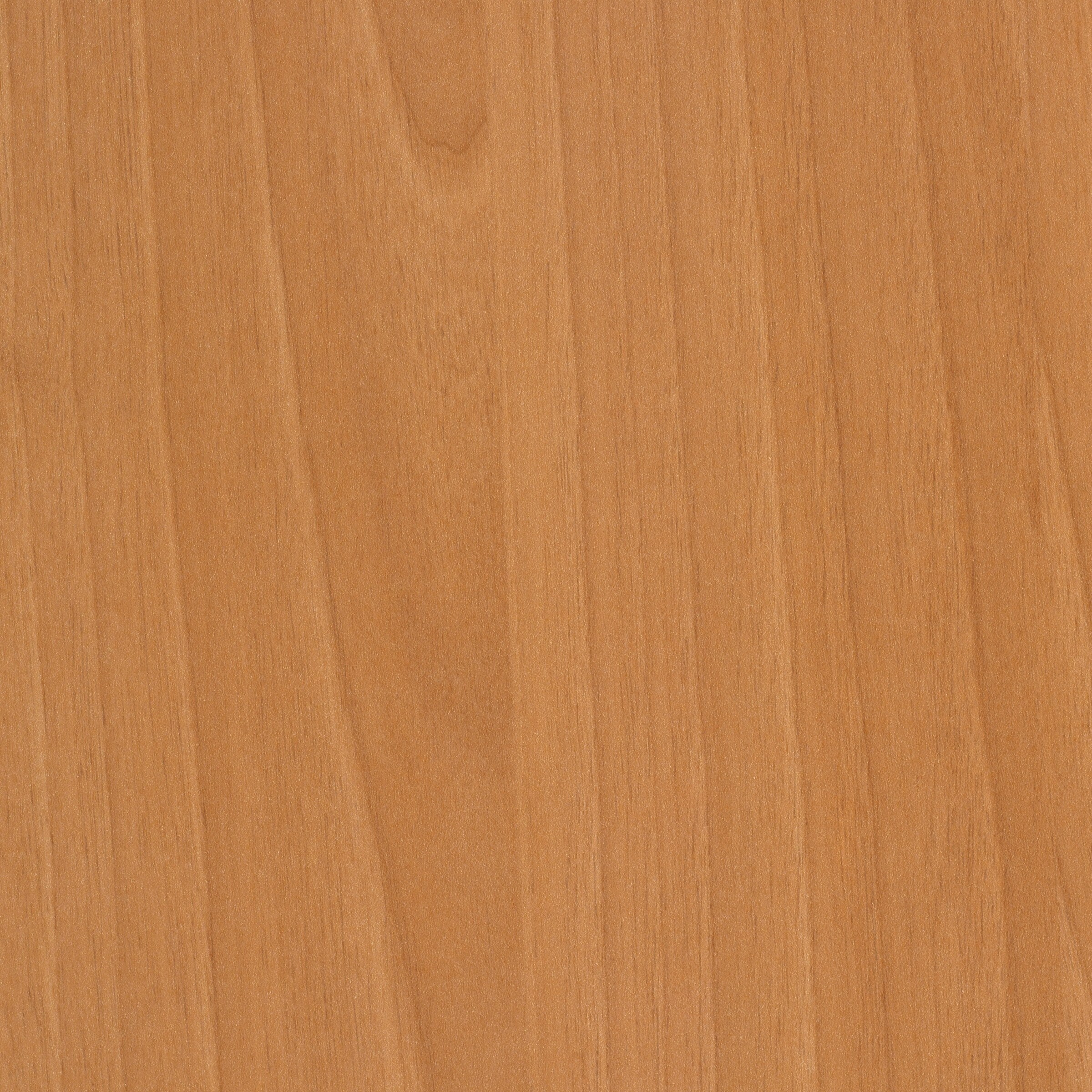Wilsonart MC-2X3792138 Tuscan Walnut Fine Velvet Texture Laminate Orange Kitchen Countertop SAMPLE (