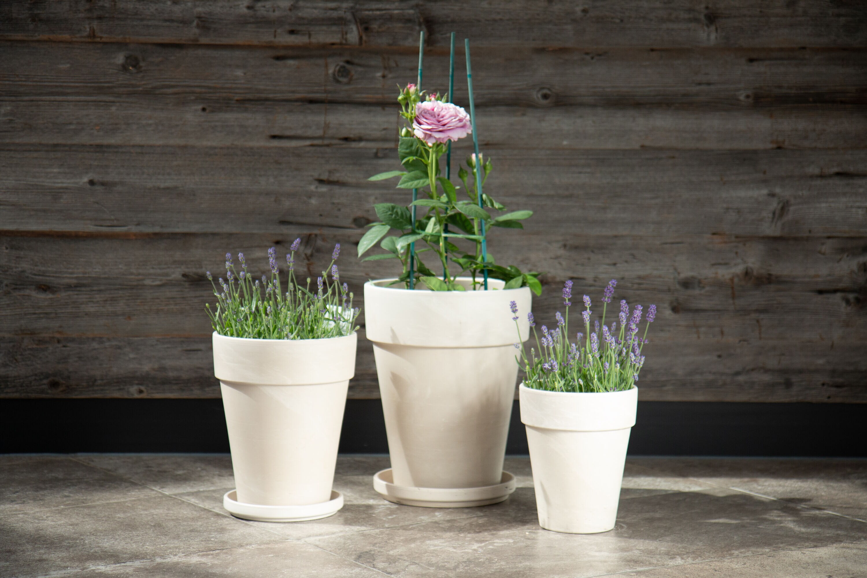  805554 Planter-Window-Box - View #7