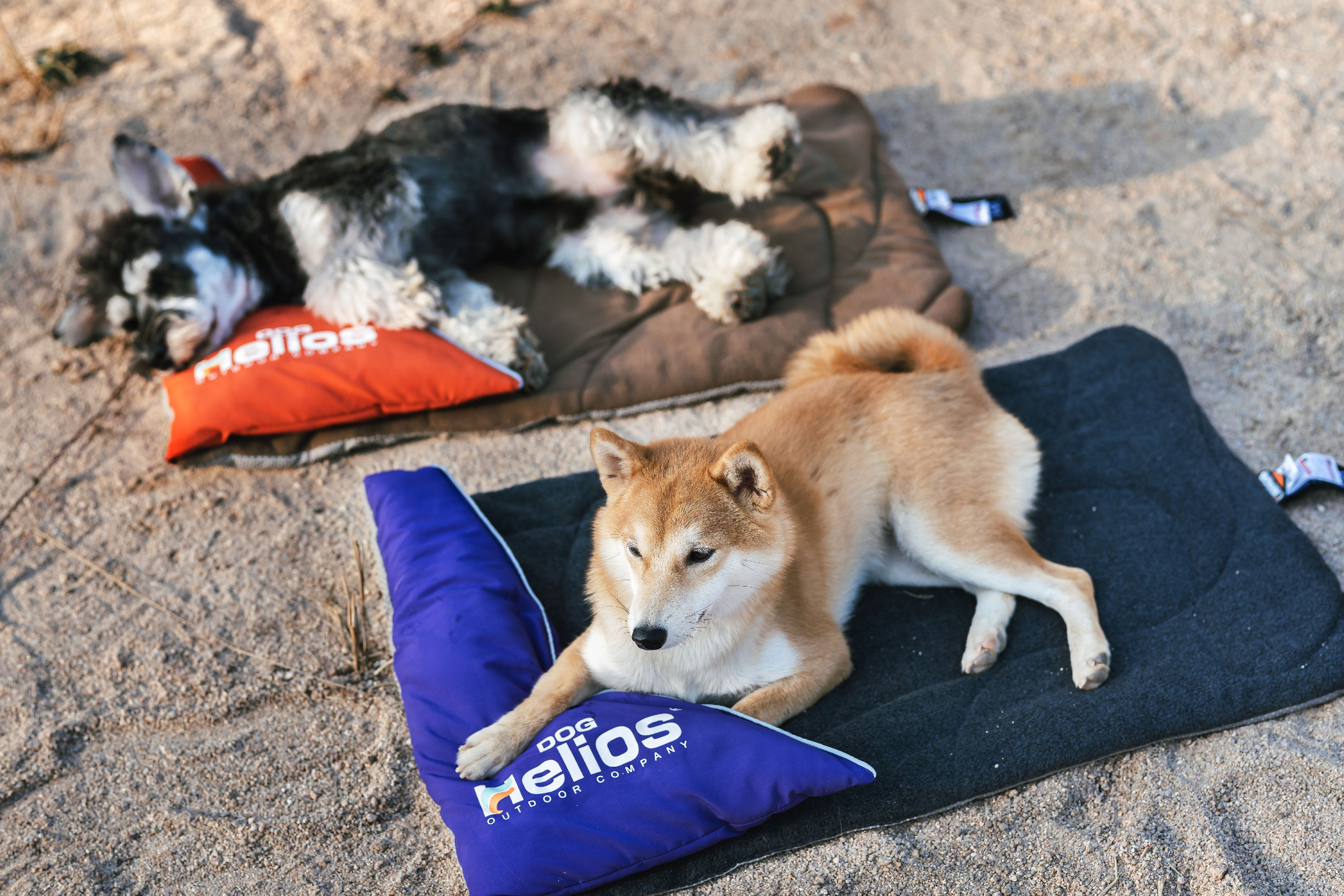 Dog Helios PB108RD Pet-Beds - View #4