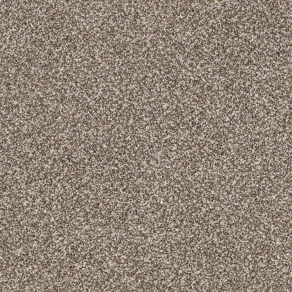 STAINMASTER PetProtect Mineral Bay I 12 Ft Inlet Textured Indoor Carpet ...