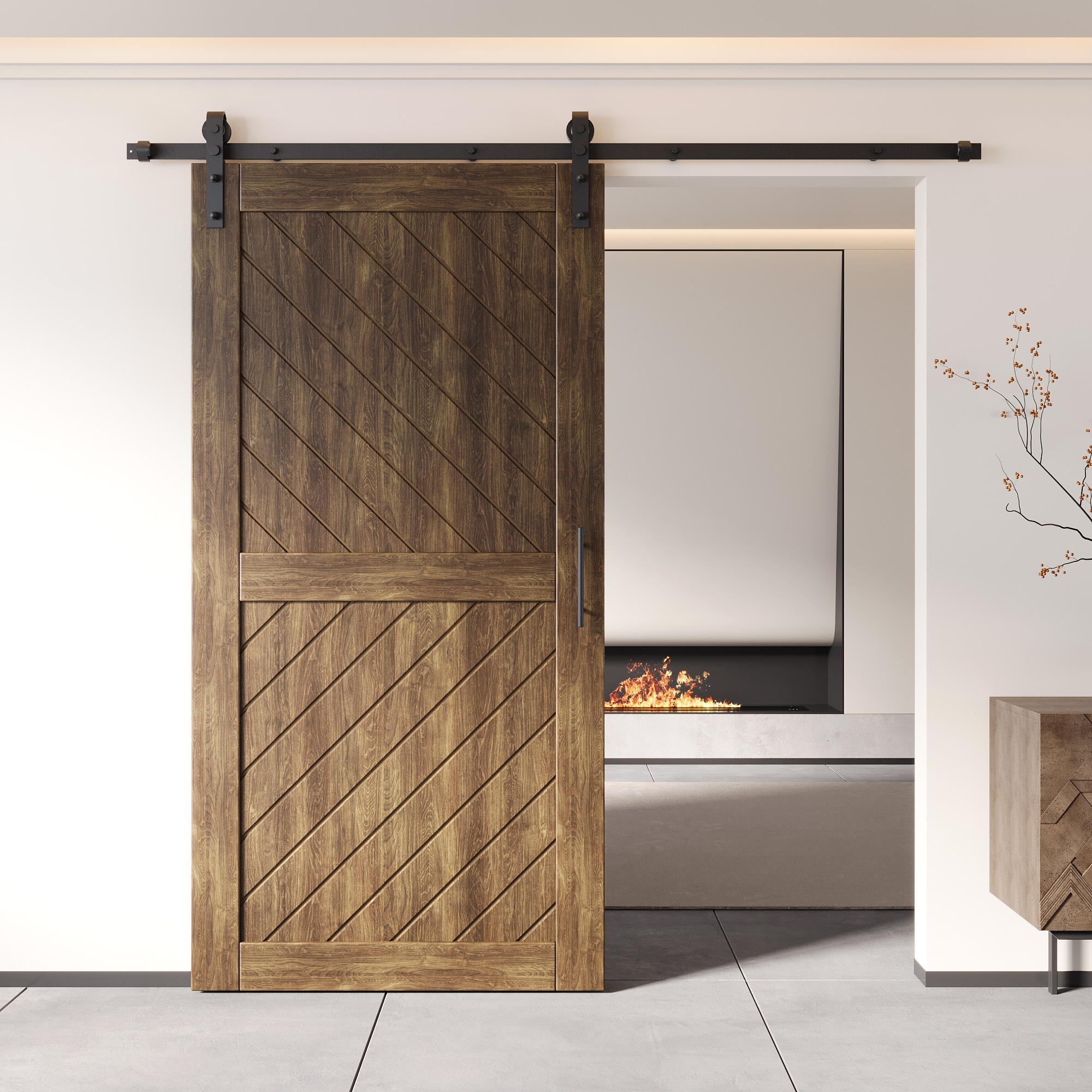 HOMACER YT1H066C-XT4-3280-WA Barn-Doors - View #8