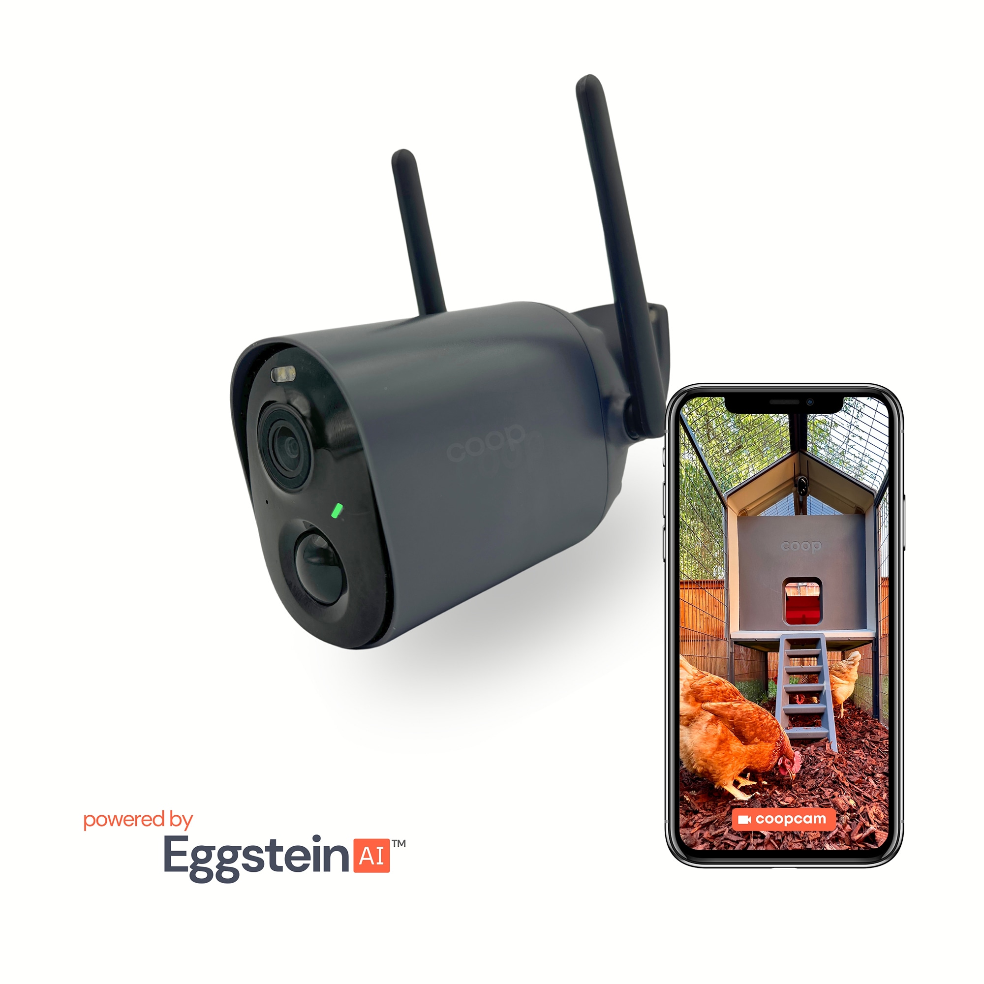 COOP CPCH605 Security-Cameras - View #6