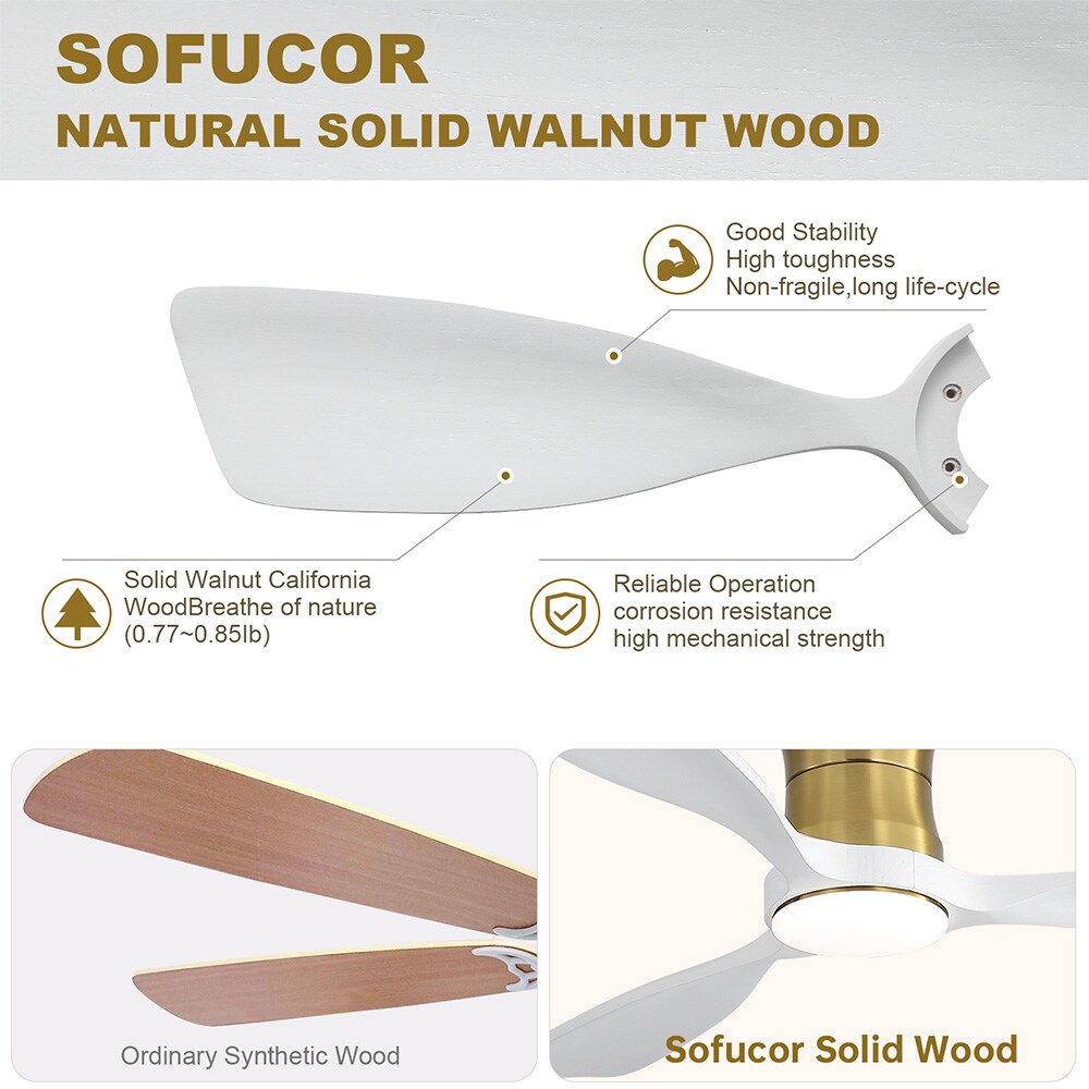 Sofucor LW-48K032-BG-WH Ceiling-Fans - View #11