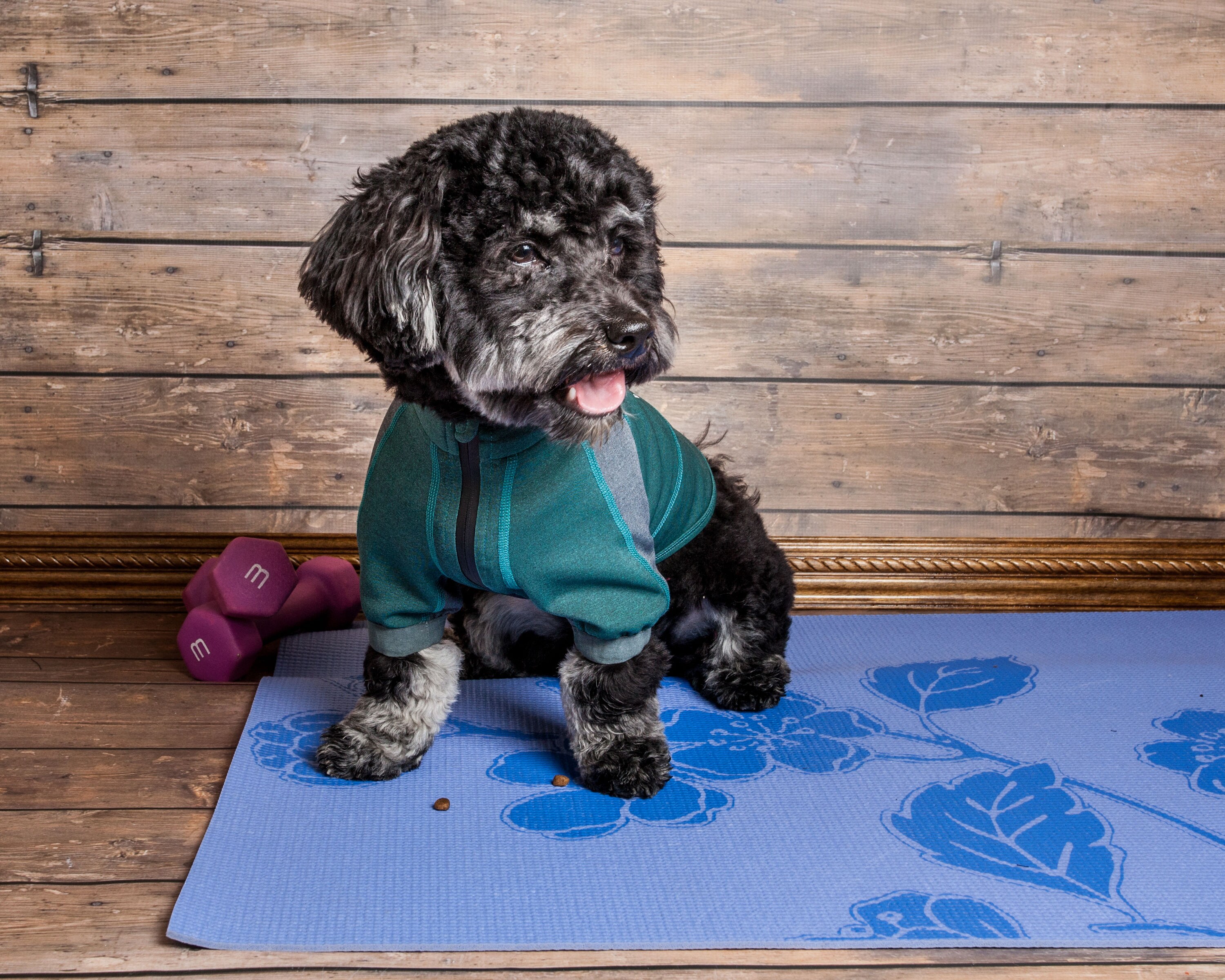 Dog Helios TSHL6GNMD Dog-Apparel - View #9