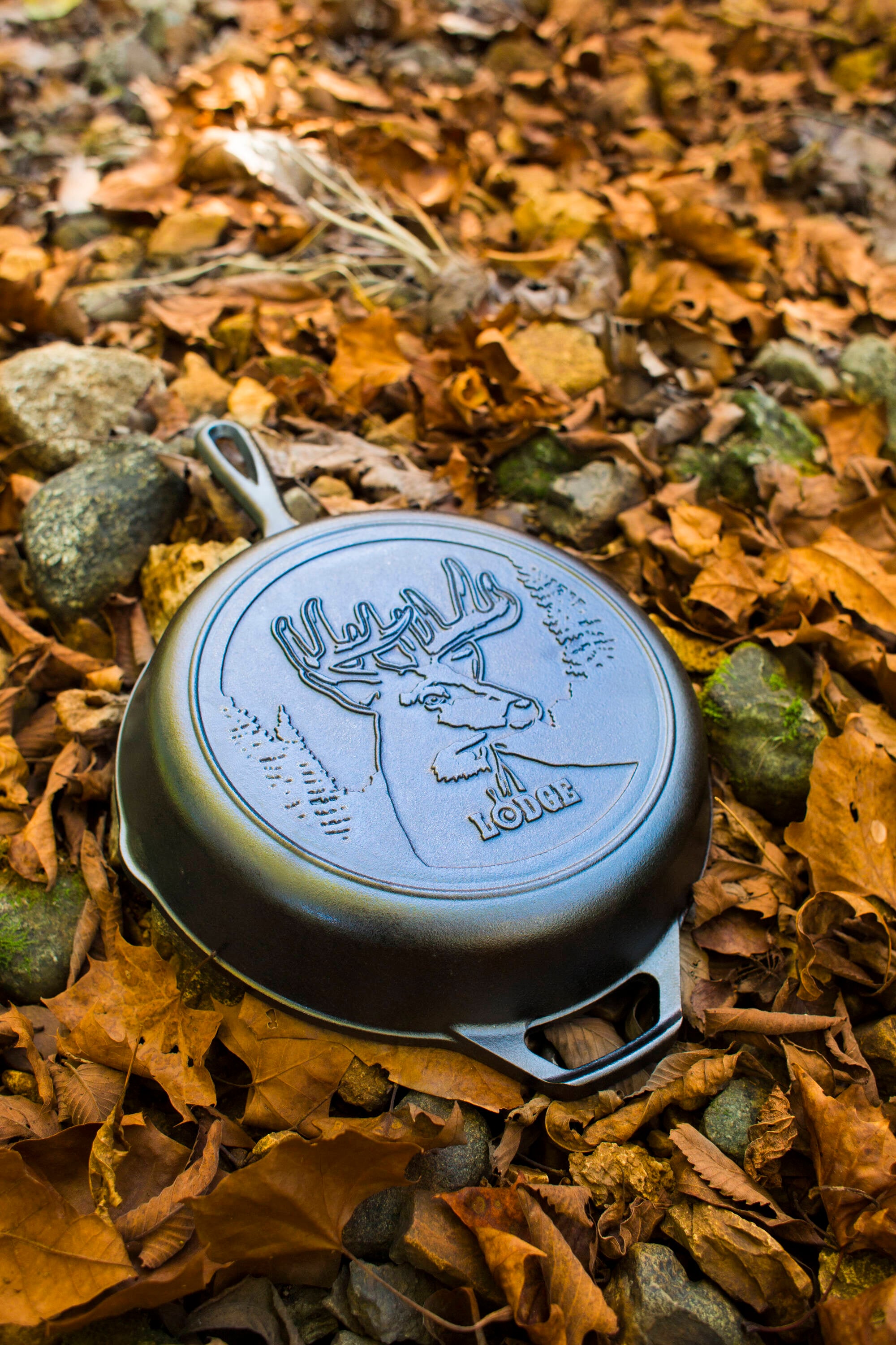 Lodge Cast Iron L8SKWLDR Cooking-Pans-Skillets - View #3