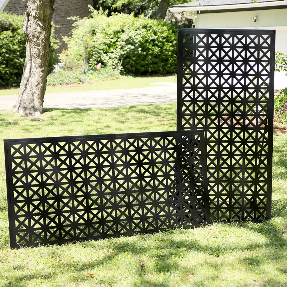 Origin 21 838717 lattice - View #12