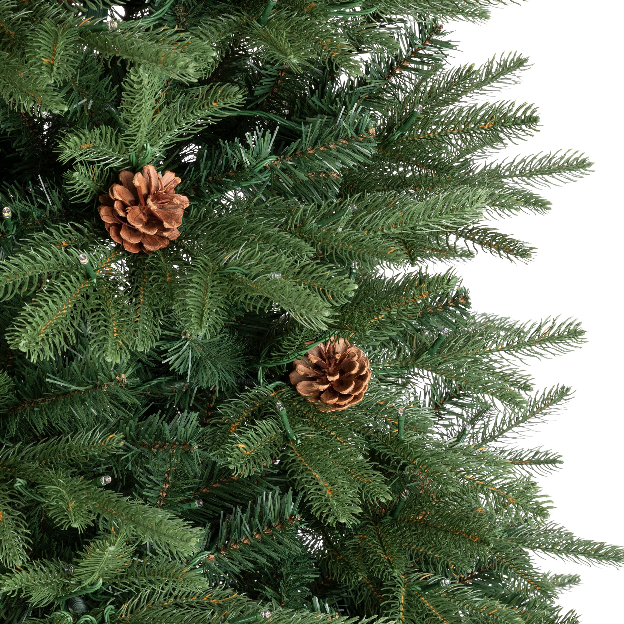 Triumph Tree, Christmas Tree, Forest frosted, 75 cm