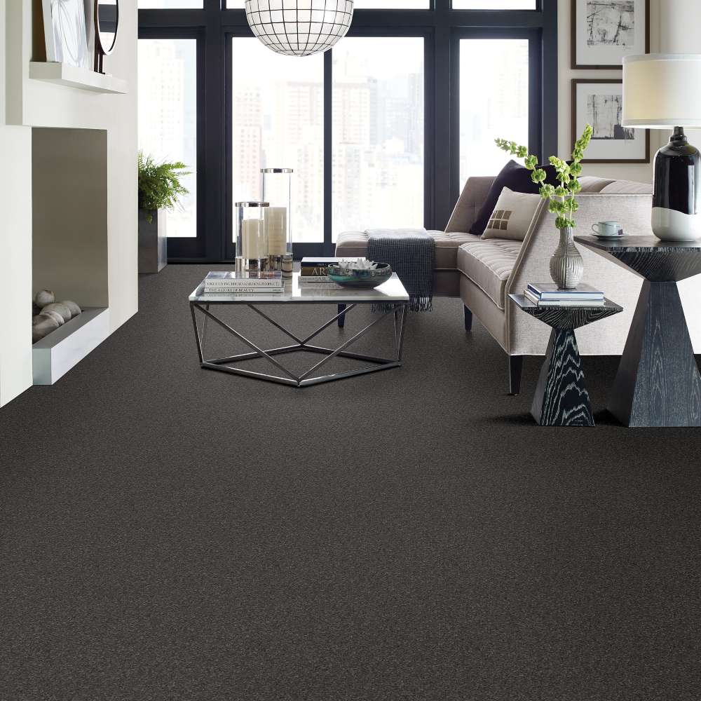 STAINMASTER 7L79000529 Carpet-Panel - View #3