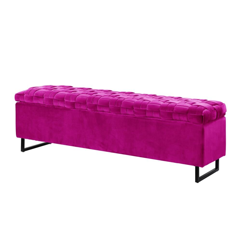 Home in 59-in department Bench 15.7-in Benches Storage x with x 18.1-in Storage Inspired the at Fuchsia Modern Ruth