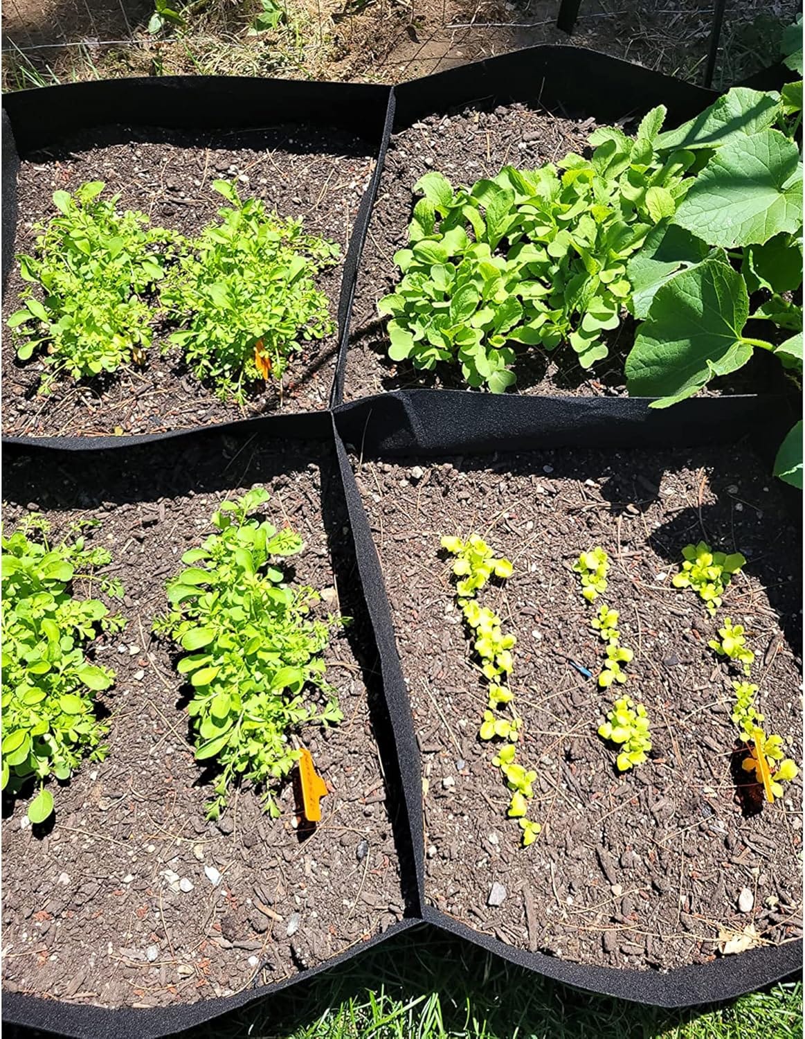 Luupatchy X003QSBG6L-AVALU Raised-Garden-Beds - View #7