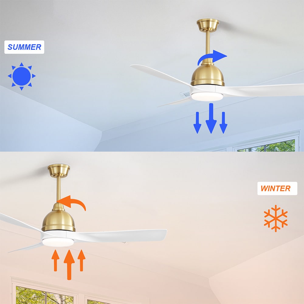 Sofucor LW-54K002SMTY-BG Ceiling-Fans - View #7
