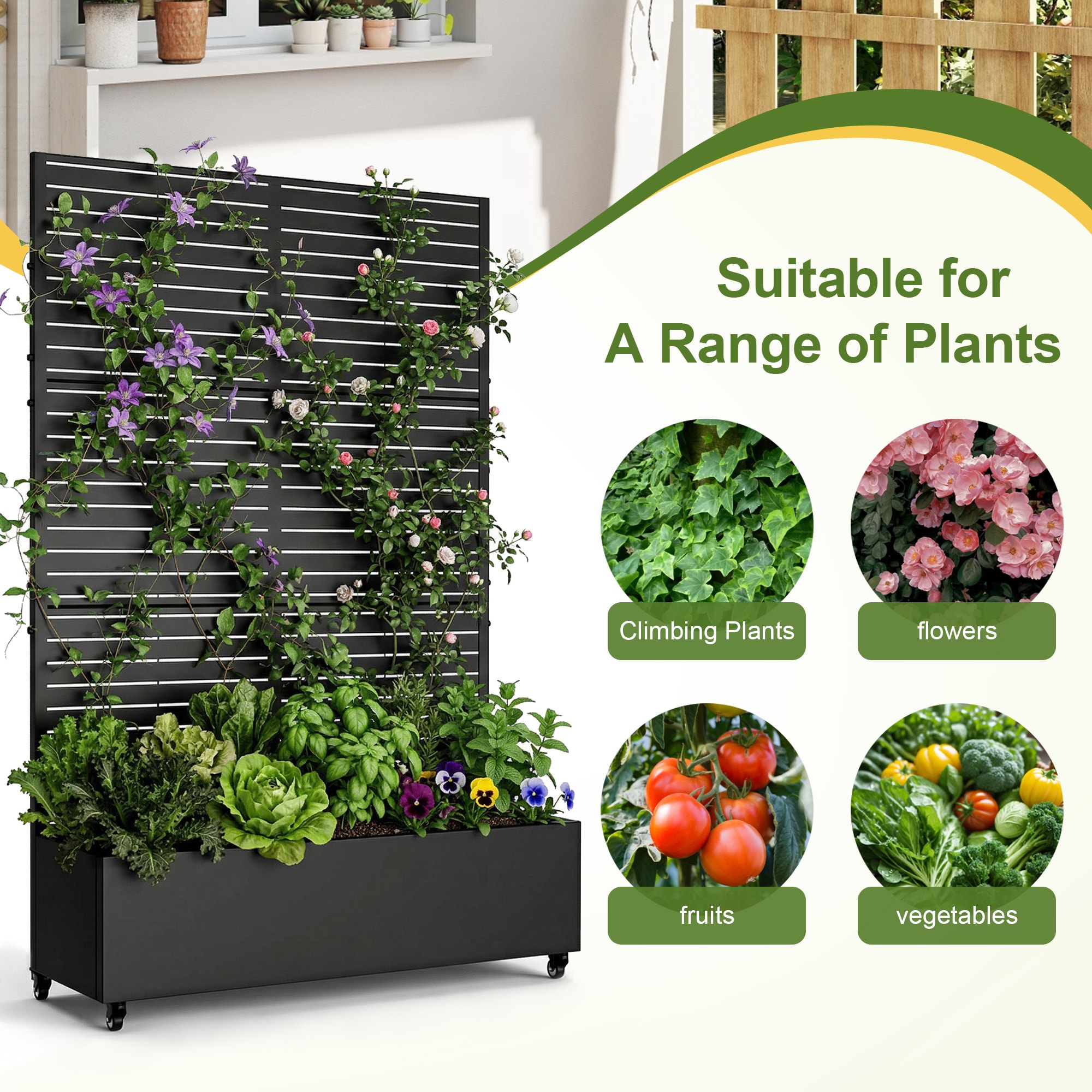 Lirago L20605-604C25 Raised-Planter-Boxes - View #6