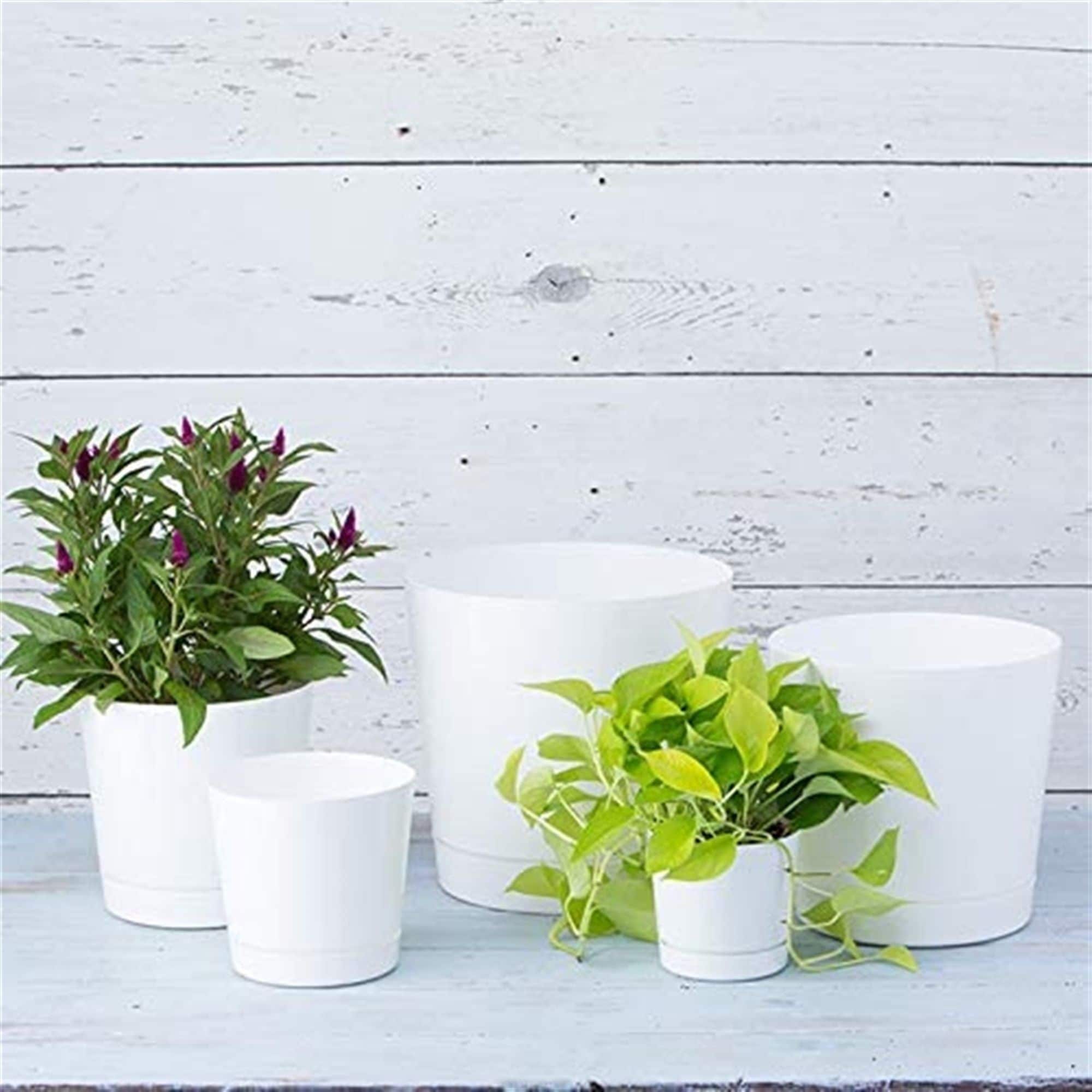 Novelty Manufacturing 026978101020 Planter-Window-Box - View #5