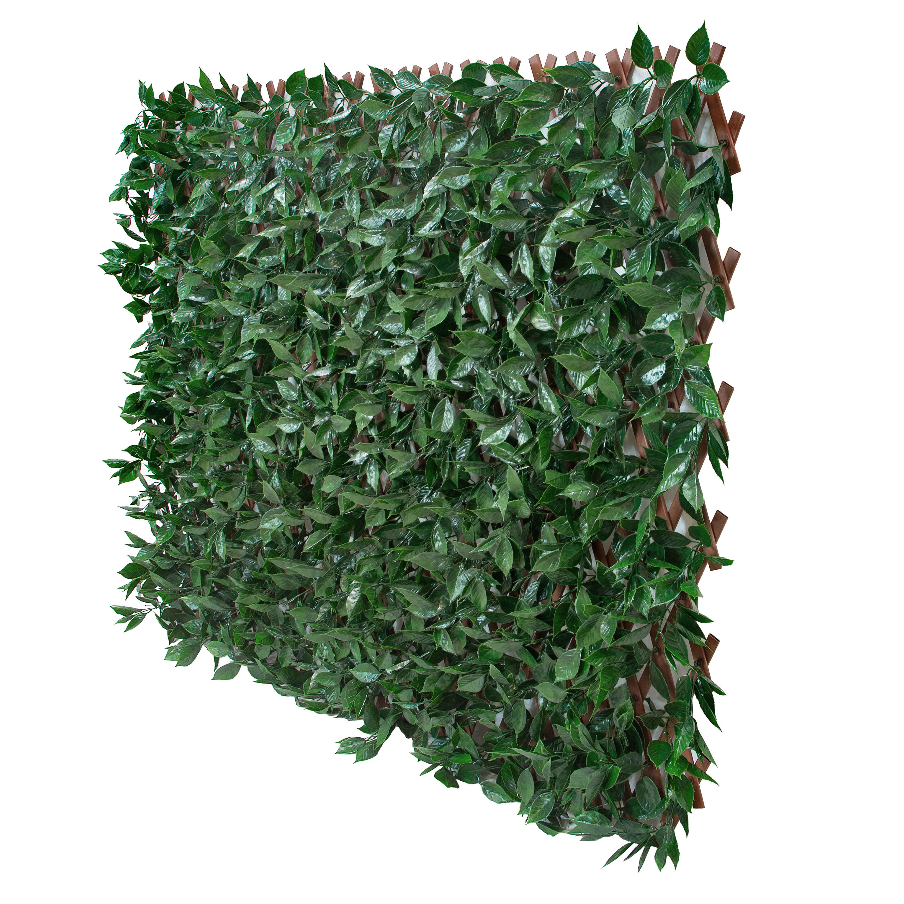everhome LWHEDGE0440 34.25-Inches Green/Glossy