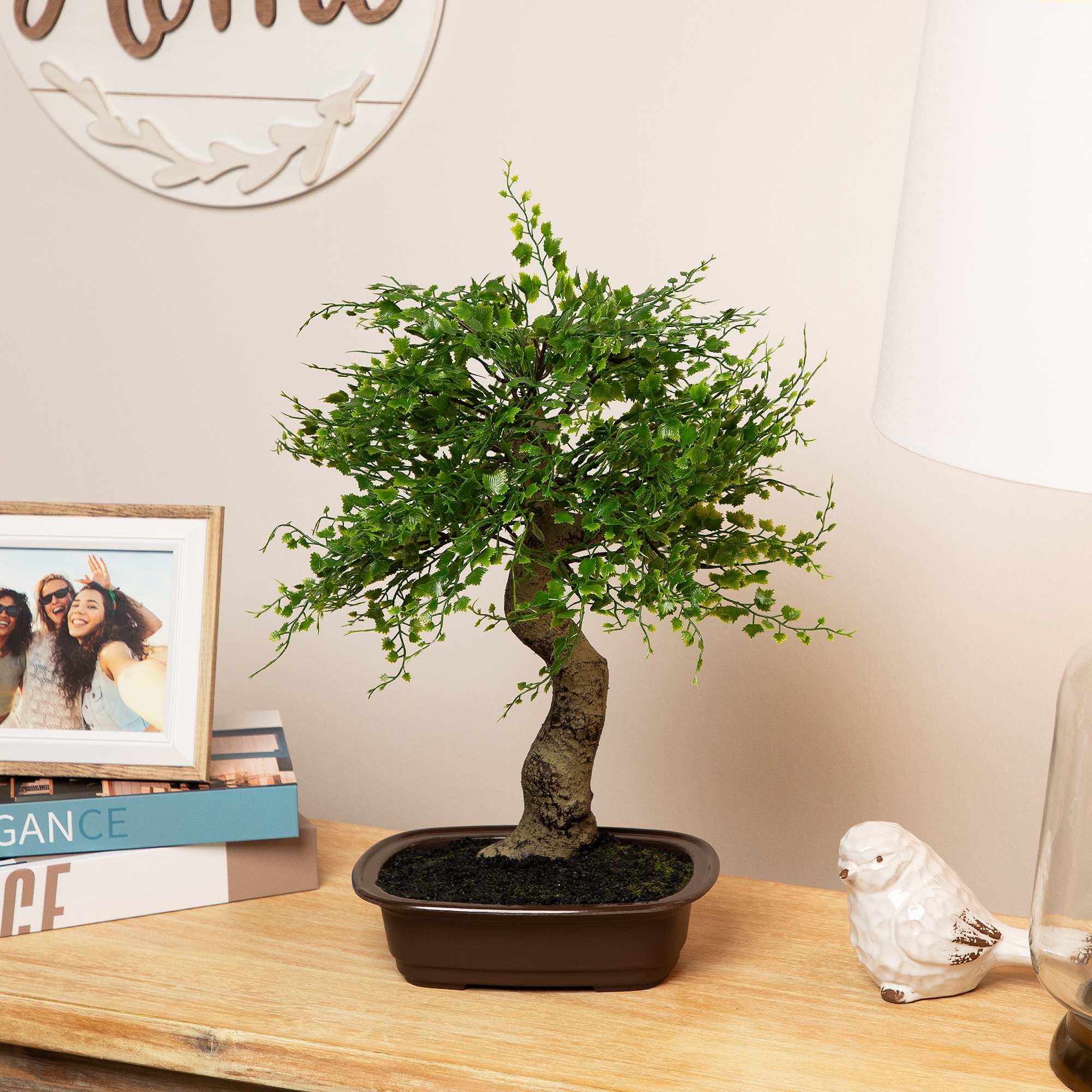 Northlight Mini Artificial Bonsai Tree in a Pot - 16 inch in the Artificial  Plants & Flowers department at Lowes.com