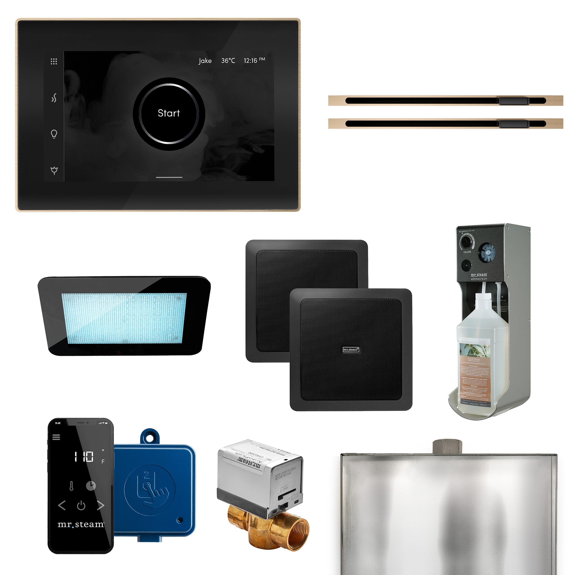 Mr. Steam XDRM1BKXLBB Xdream Max Linear 500-Watts Brushed Bronze Steam generator control kit