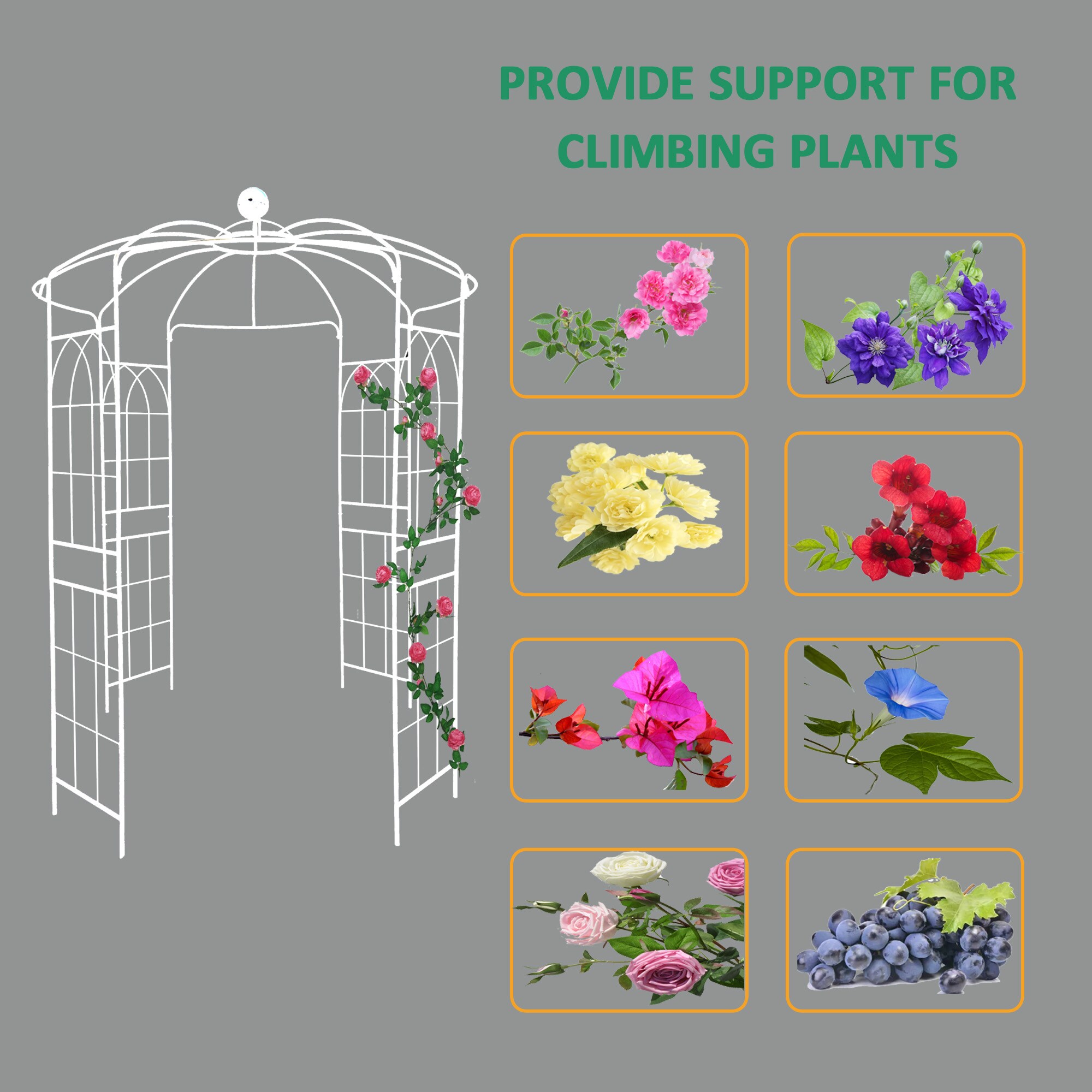 ToolCat NGG29-36-TTX Garden-Trellis - View #4