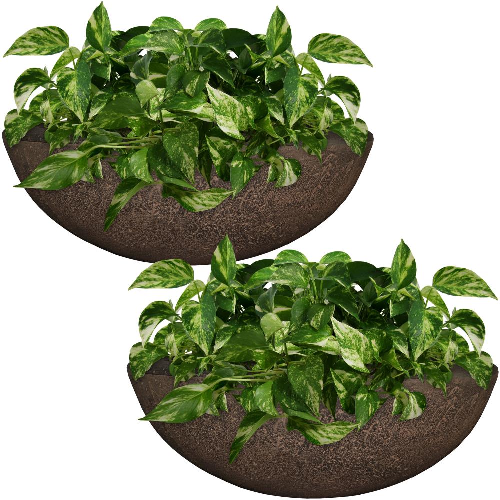 Sunnydaze Decor DG-971 2 -Pack Round 9.5-in W Medium Brown Resin Indoor/Outdoor Planter with Drainage Holes