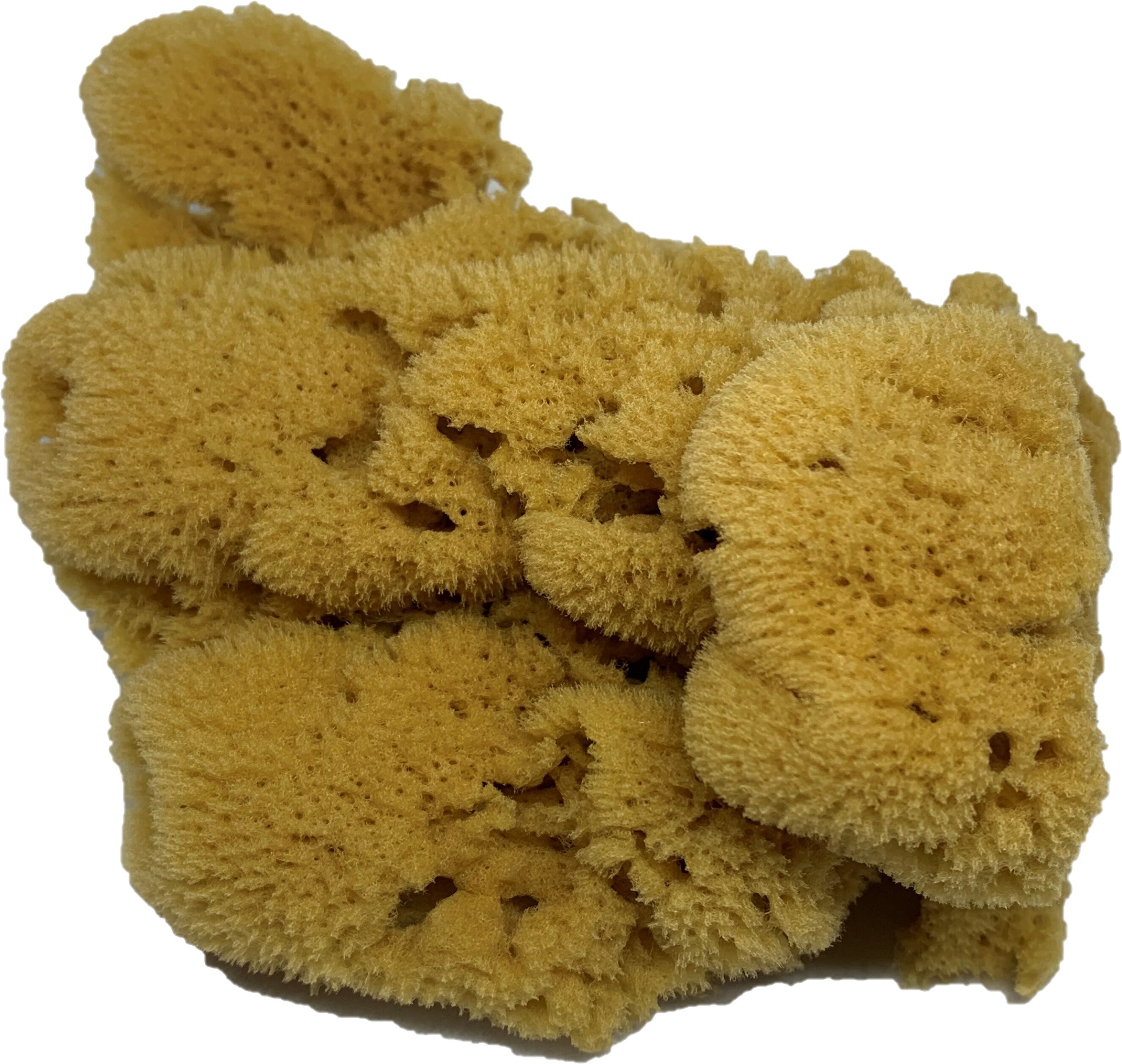 The Natural Sponge 08070 Sponges-Scouring-Pads - View #3