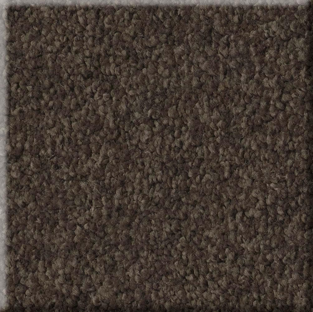 STAINMASTER 7L792-726-SAMP (Sample) Unmatched Beauty III Chestnut Brown 68.2-oz sq yard Nylon Textured Indoor Carpet