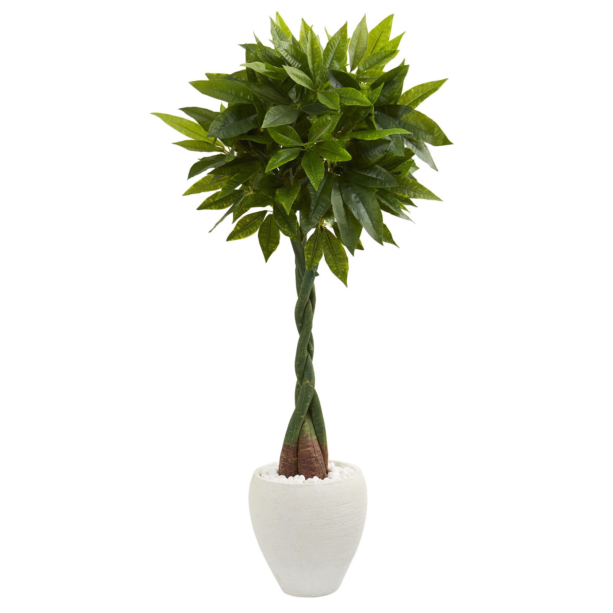 Nearly Natural 60 In Green Indoor Money Artificial Tree At Lowes Com   60199821 