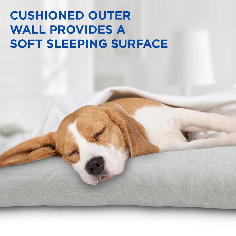 Gray and Blue Gel-Based Self Cooling Pet Bed