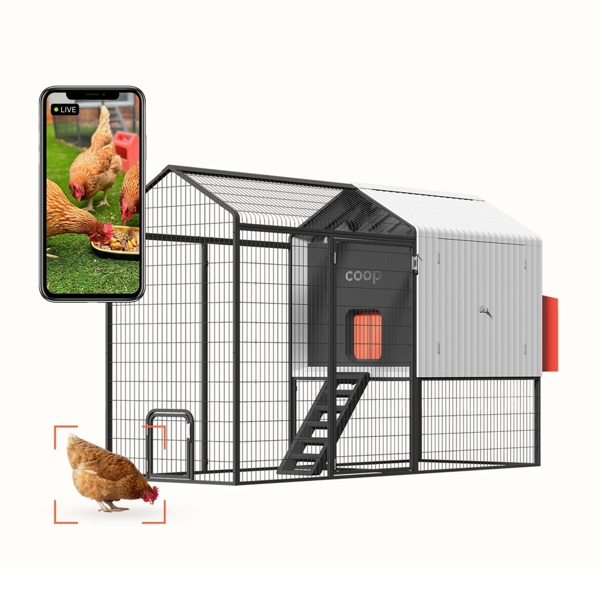 Smart Black and White Steel Chicken Coop with Automatic Door