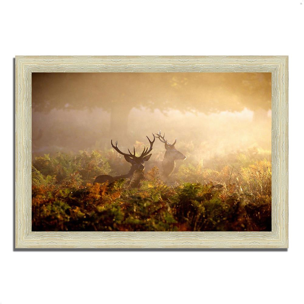 Tangletown Fine Art 11107-3624P122 White Wood Framed 30-in H x 42-in W Animals Paper Print