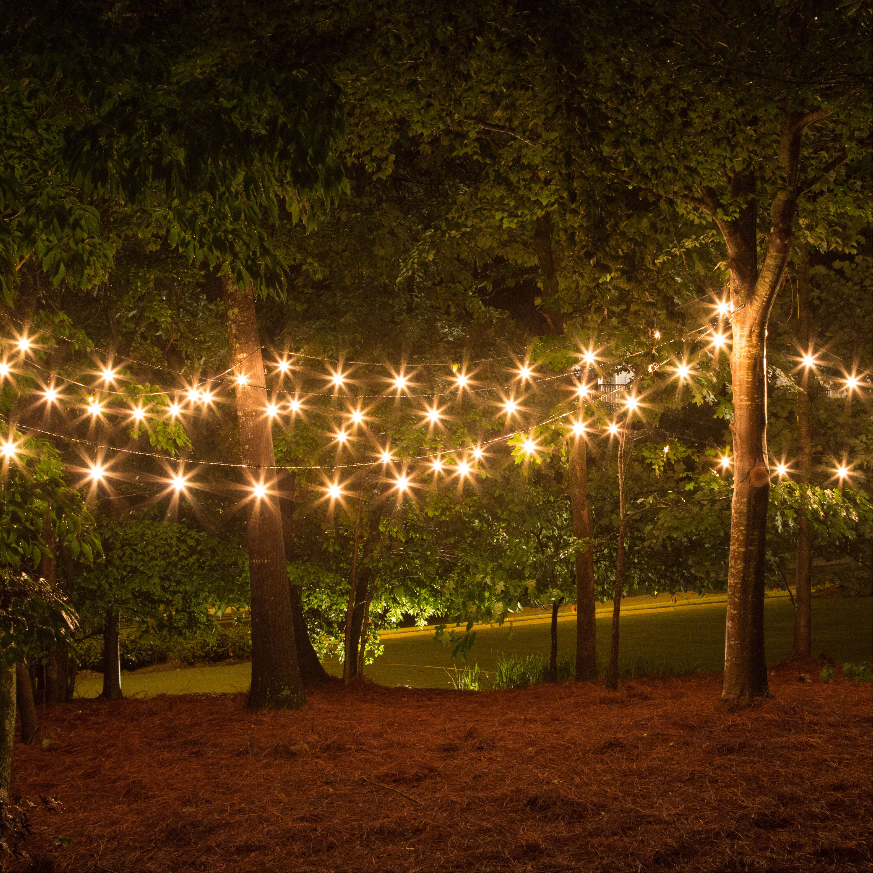 Newhouse Lighting S14LED15P Dec-Led-Light-Bulbs - View #7