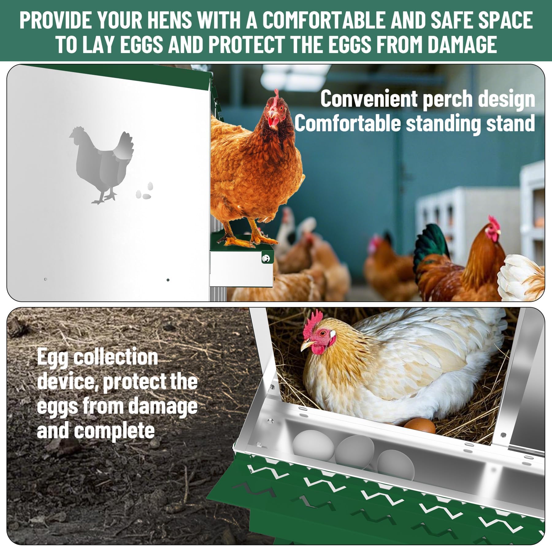 DEXSO ENCOREPHOBA6466 Chicken-Coops-Rabbit-Hutches - View #4