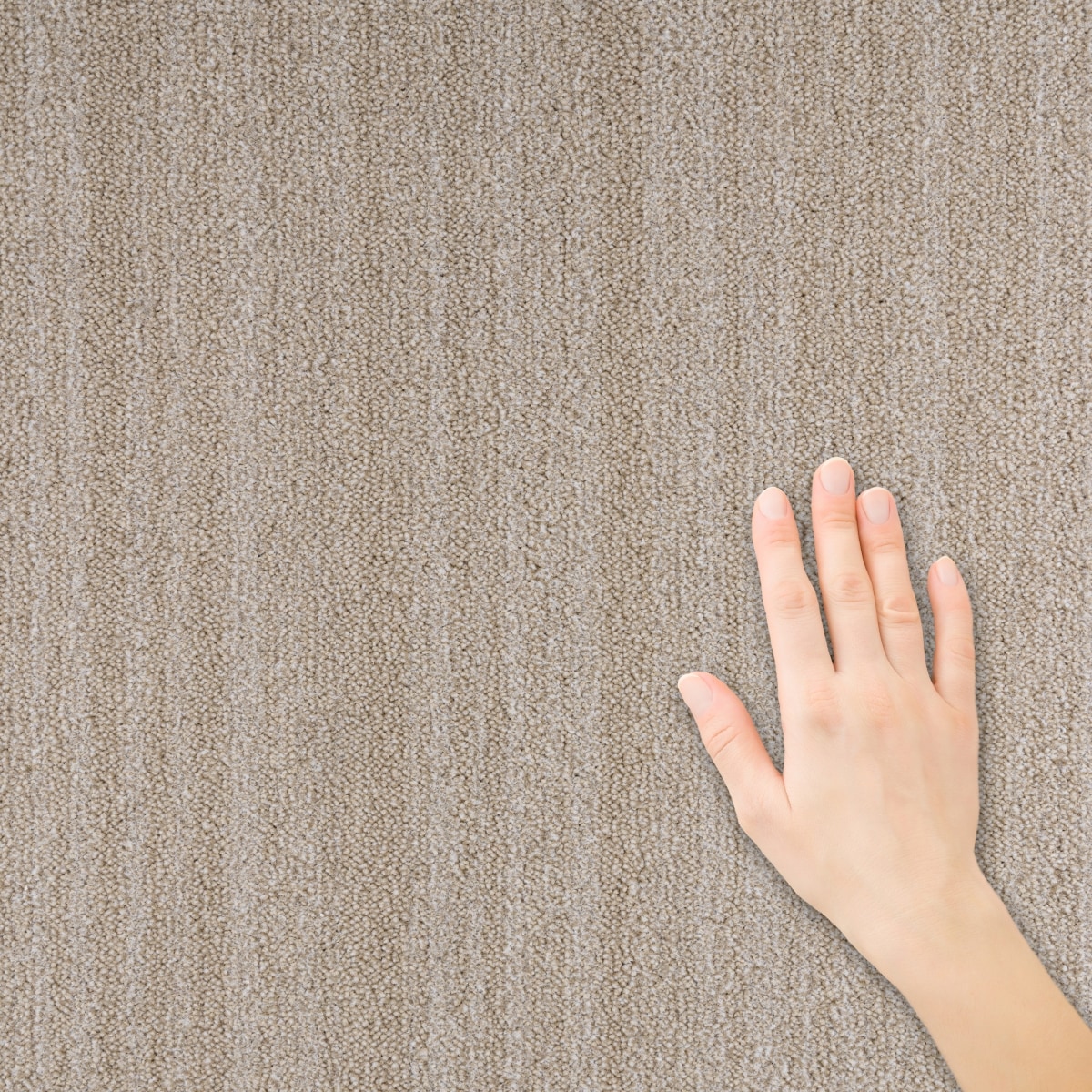 STAINMASTER L5025-3912-1200-AB Carpet-Panel - View #4