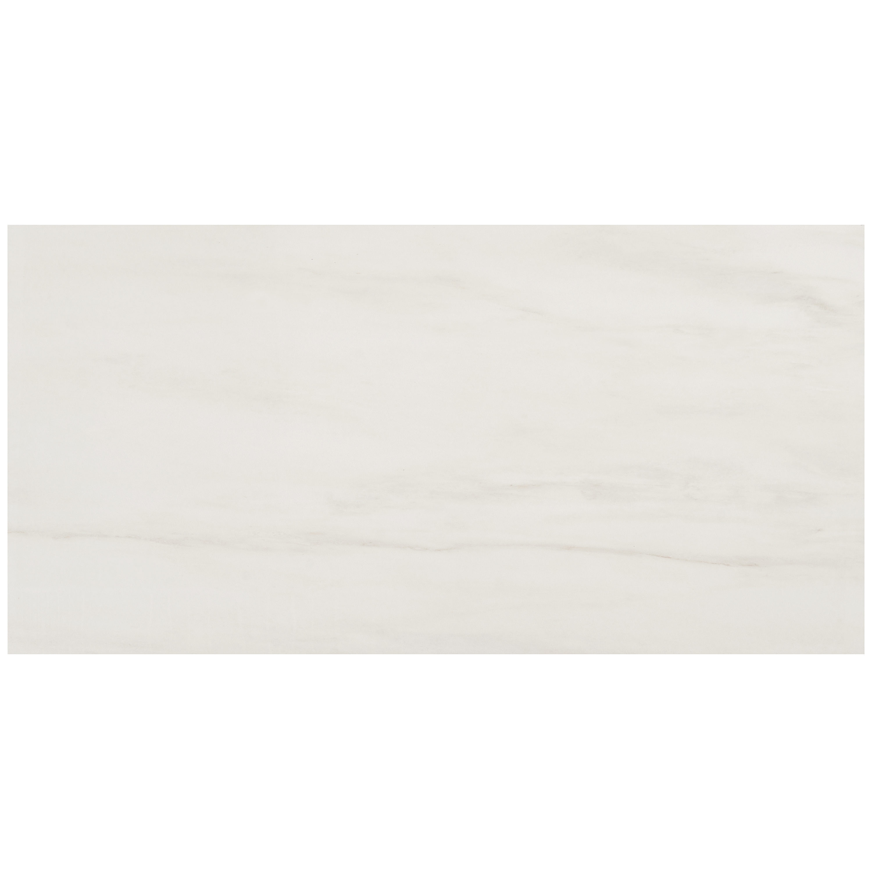 Artmore Tile EXT3RD106703 Sample - Enigma Dolomite Snow 4-in x 8-in Polished Porcelain Marble look Floor and Wall Tile