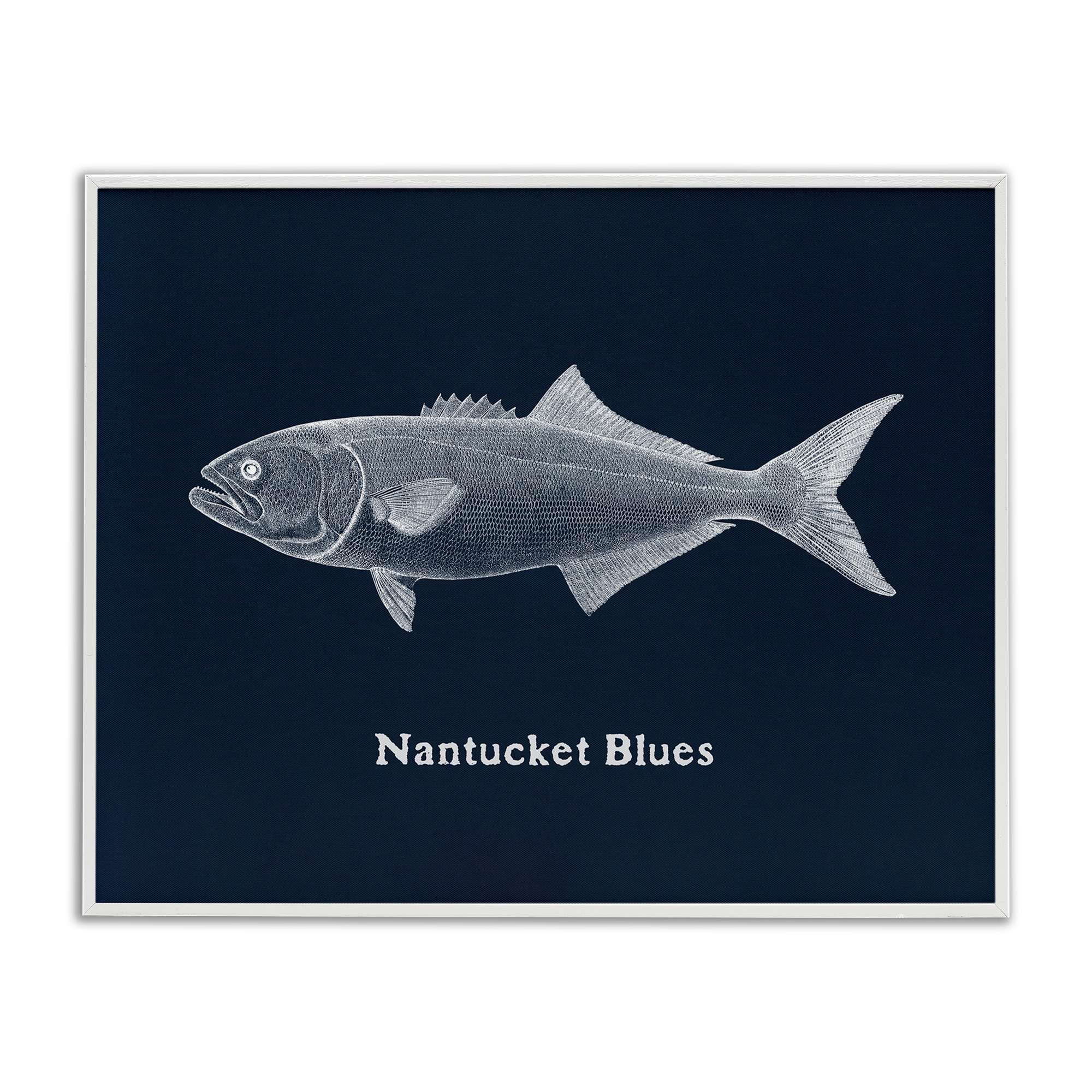 Stupell Industries BT-455-WFR-16X20 Nantucket Blues Fish White Framed Giclee Art By Phillipa Katz 20 x 16