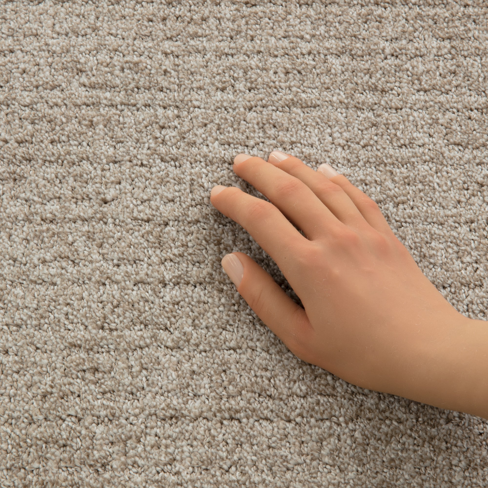 STAINMASTER PetProtect 7L93200119 Carpet-Panel - View #8