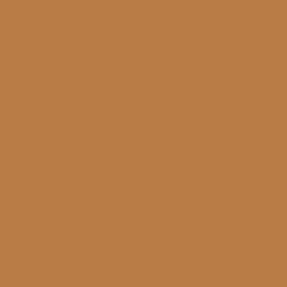 HGTV HOME by Sherwin-Williams HGSW2121 Copper Kettle HGSW2121 Tintable Paint sample ( Half-pint )